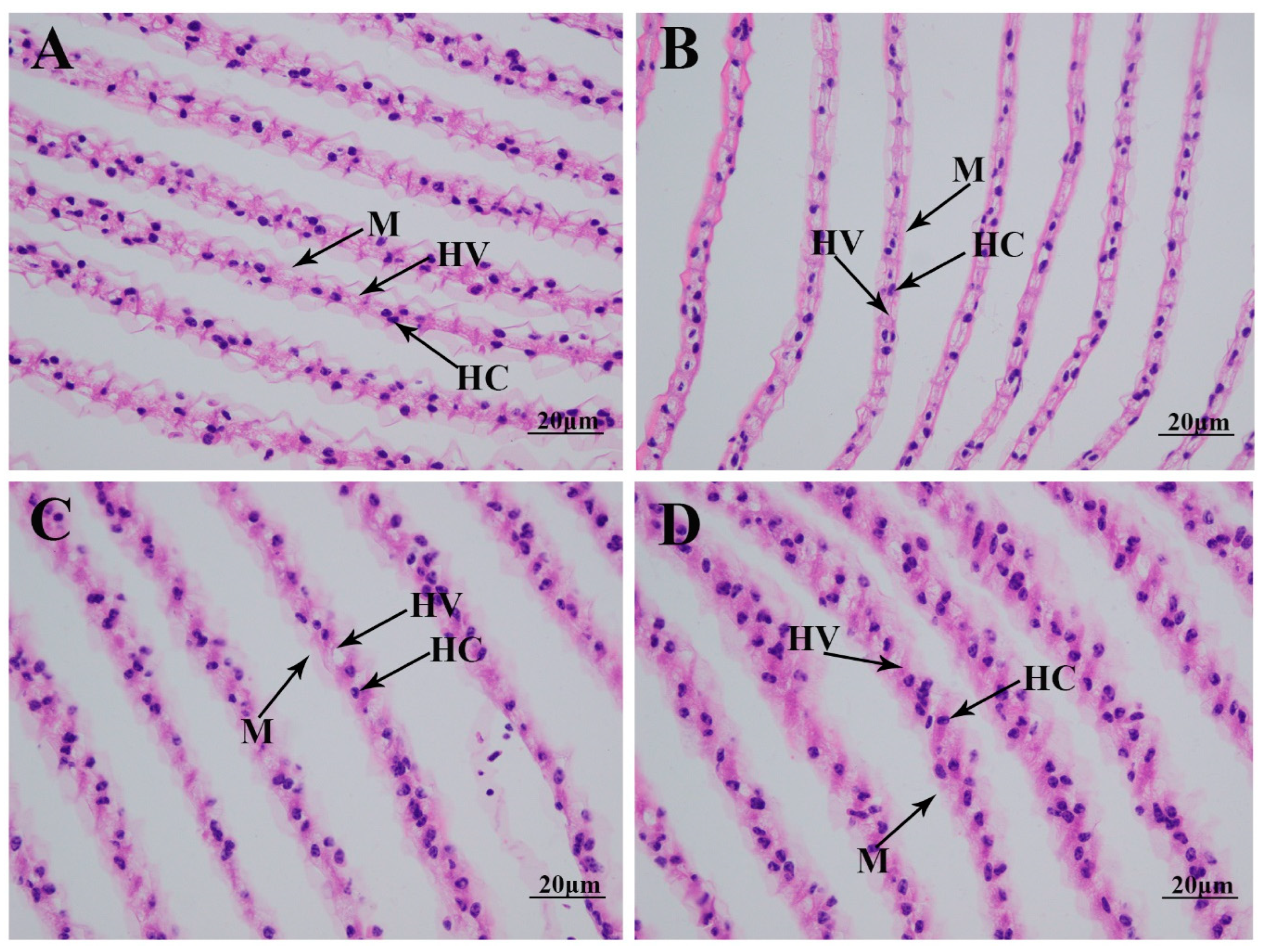 Ijms 26 04321 g002 Ijms 26 04321 g002