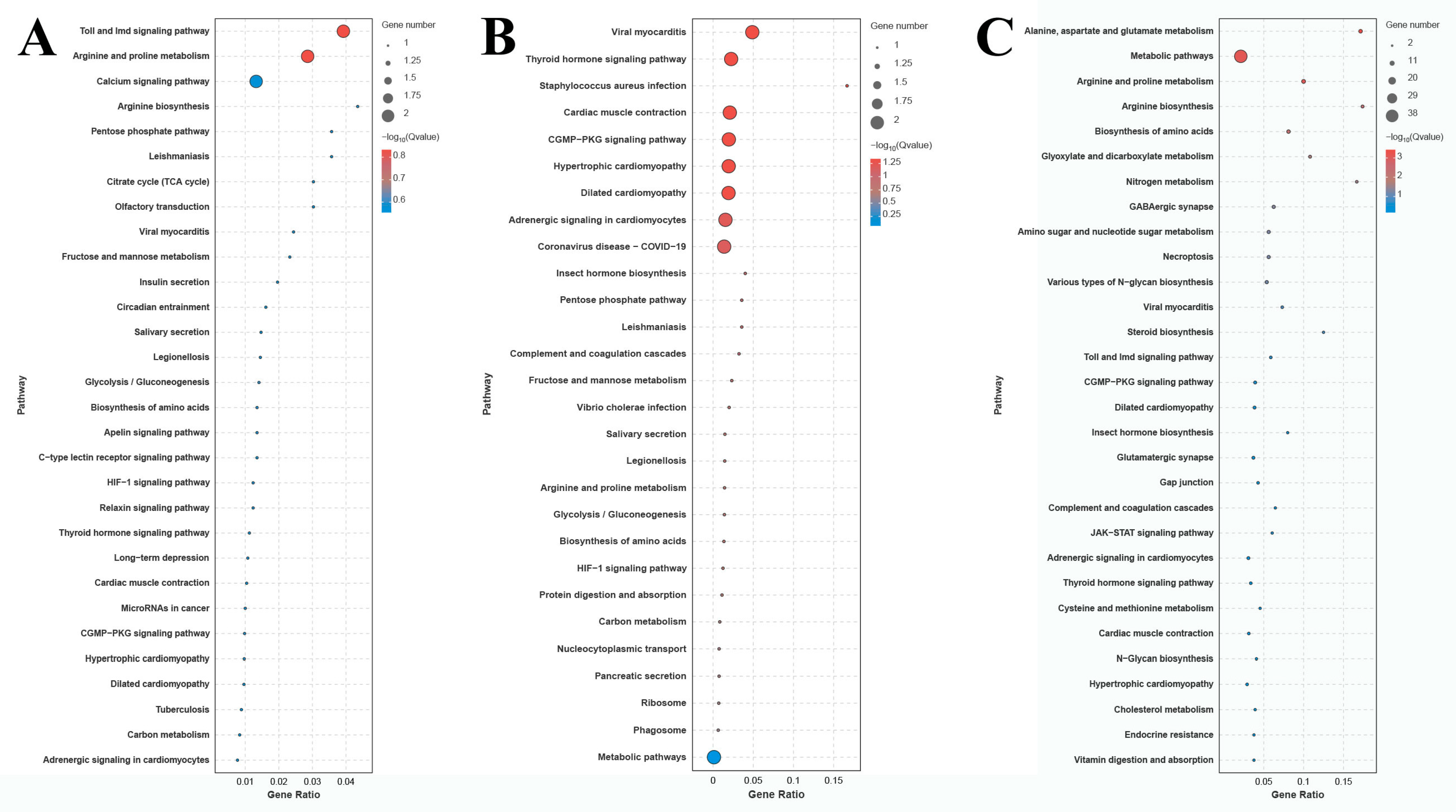 Ijms 26 04321 g004 Ijms 26 04321 g004