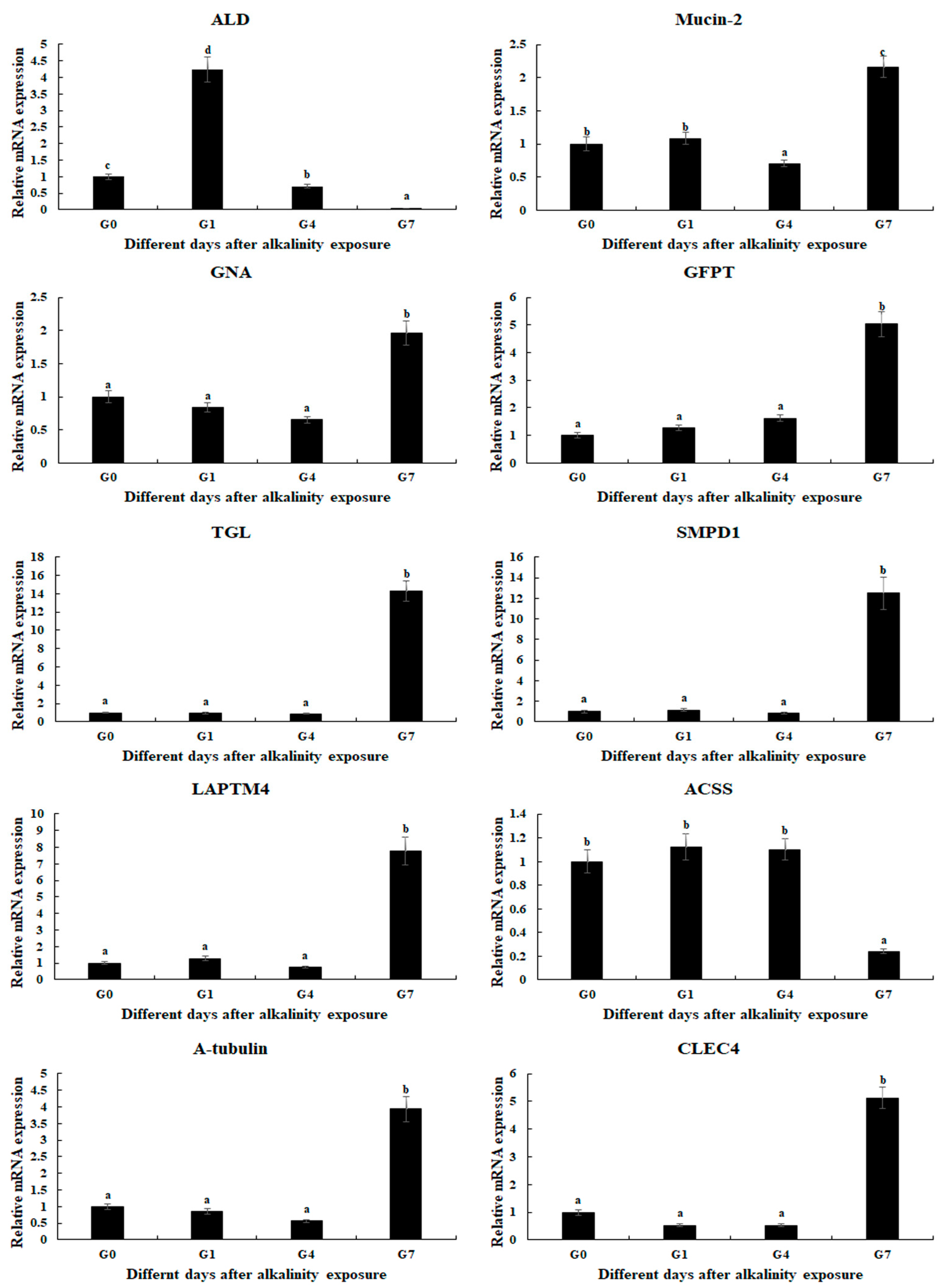 Ijms 26 04321 g005 Ijms 26 04321 g005