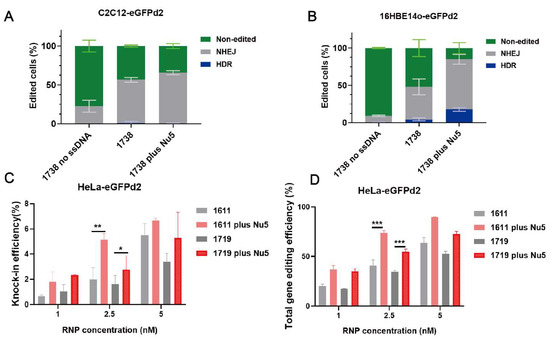 CRISPR/Cas9 Ribonucleoprotein Delivery Enhanced by Lipo