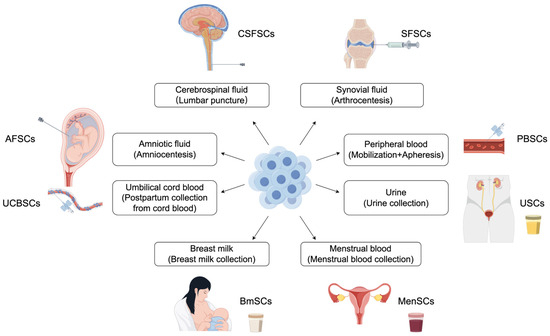 Body Fluid-Derived Stem Cells: Powering Innovative, Less