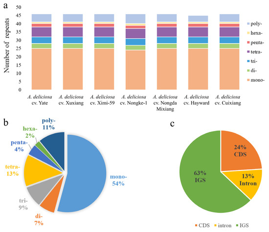 テスト 13540 HYTEST Men's Comp Toe EH Mt 6 Inch Boot