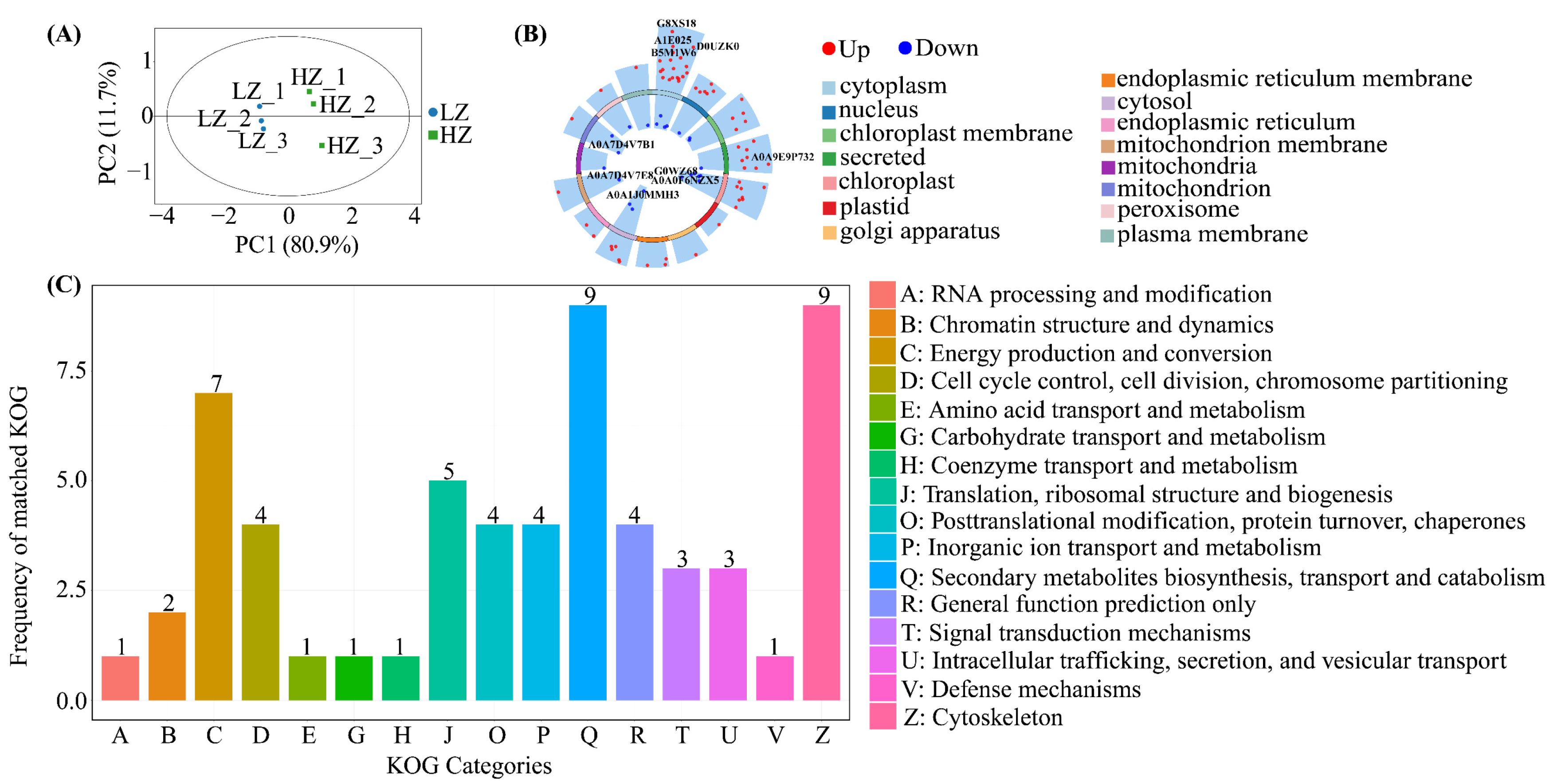 Ijms 26 04403 g004 Ijms 26 04403 g004