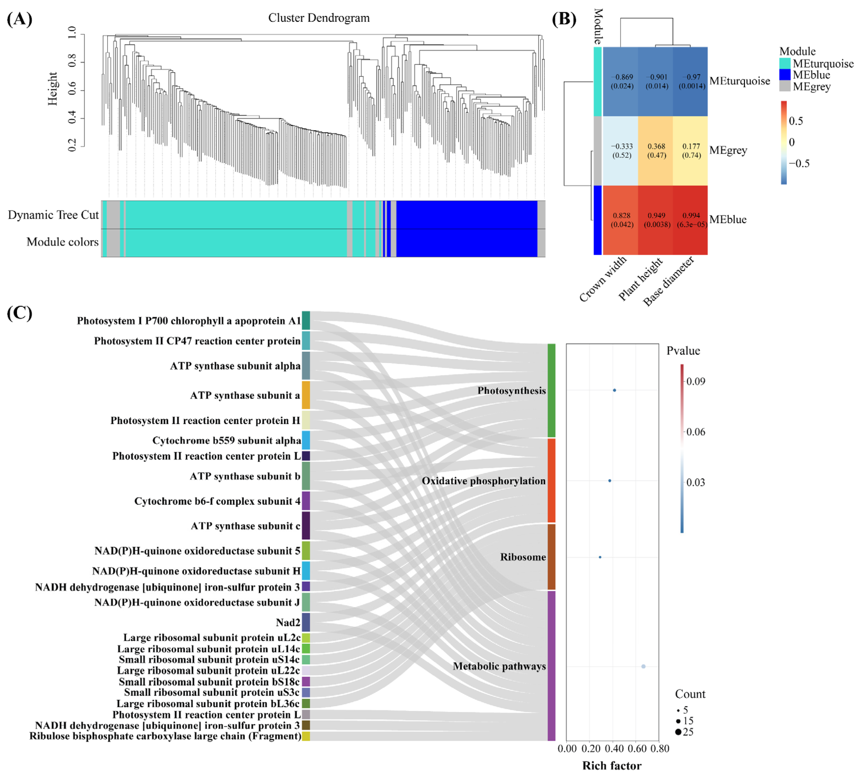 Ijms 26 04403 g005 Ijms 26 04403 g005