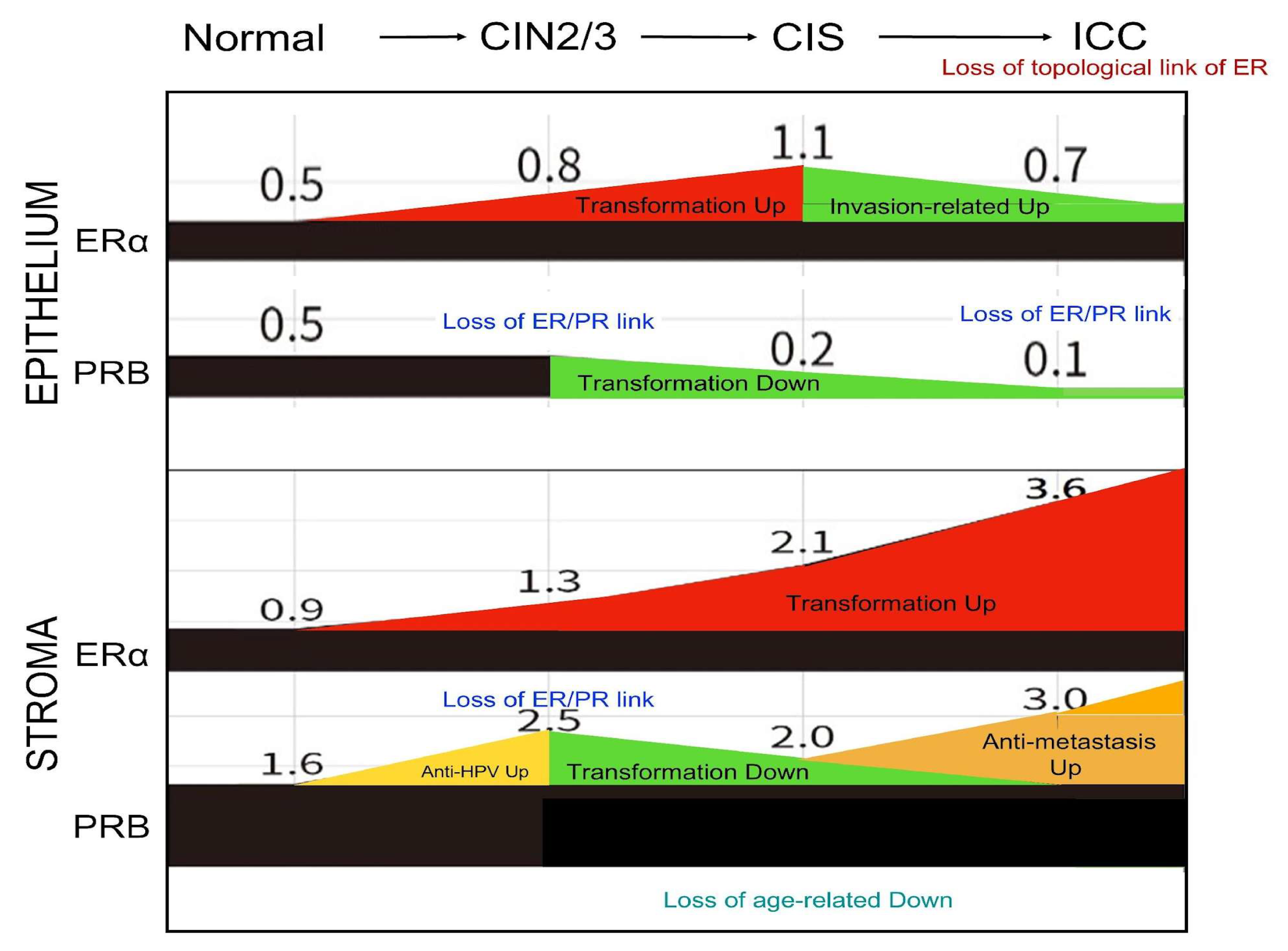 Ijms 26 04418 g005 Ijms 26 04418 g005