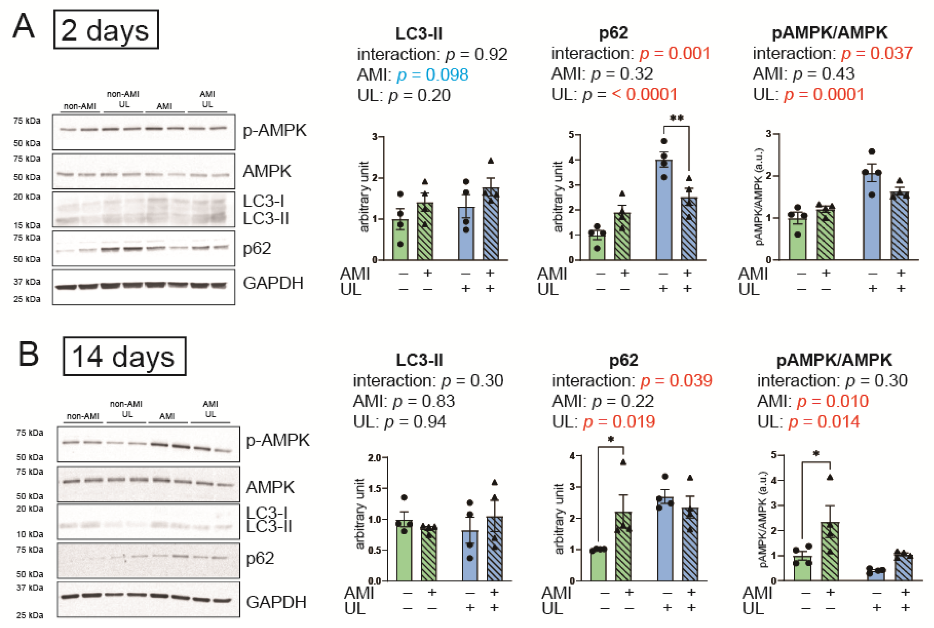 Ijms 26 04422 g004 Ijms 26 04422 g004