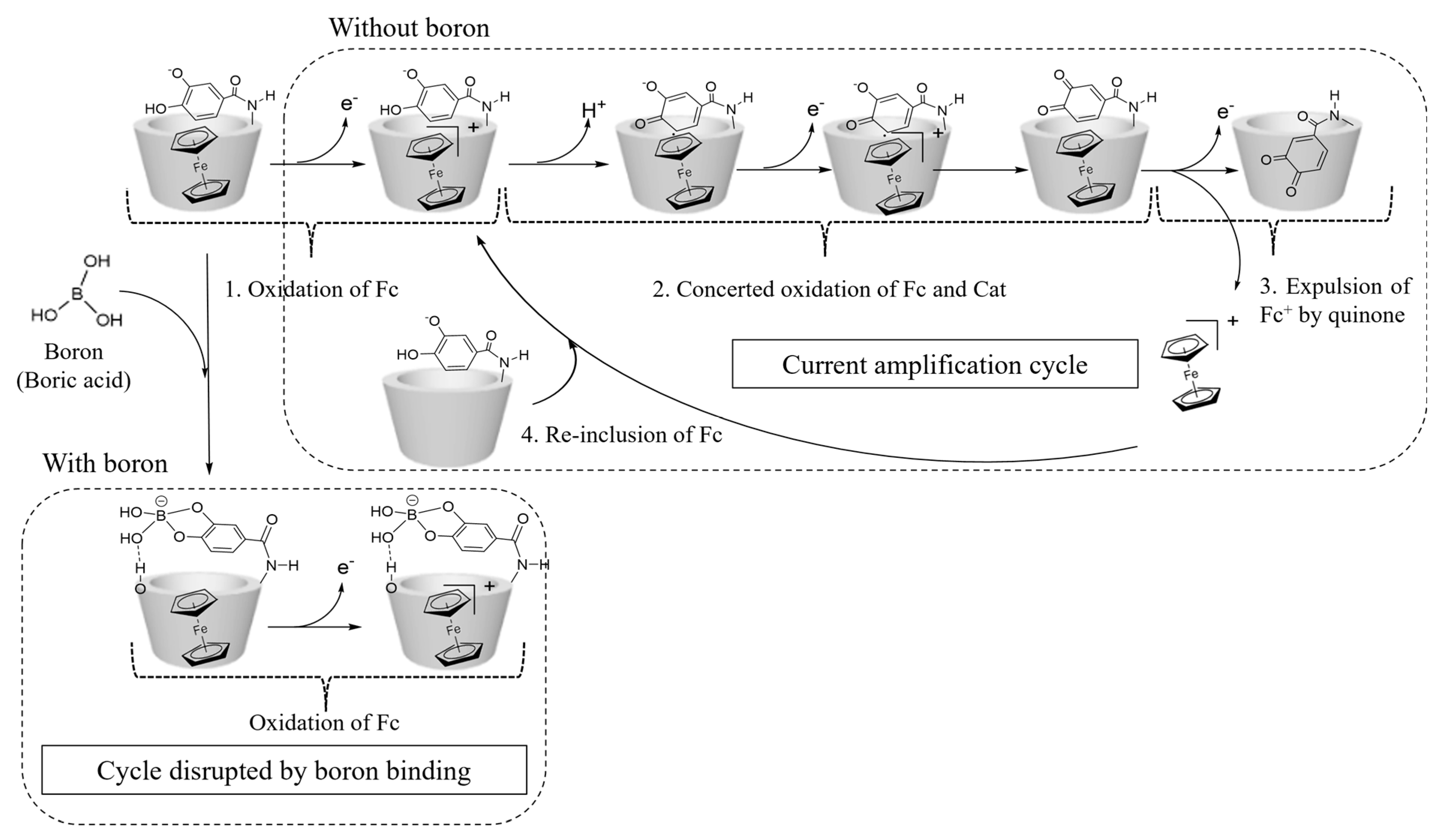 Ijms 26 04432 sch001