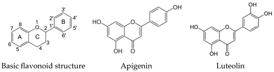 Effects of Apigenin and Luteolin on Myzus persicae (Hemiptera ...
