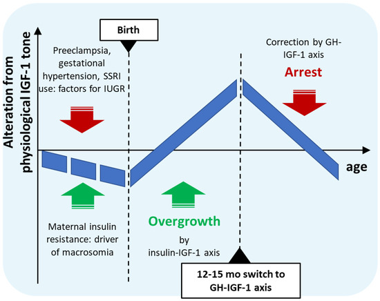 The Possible Role of Postnatal Biphasic Dysregulation of IGF-1