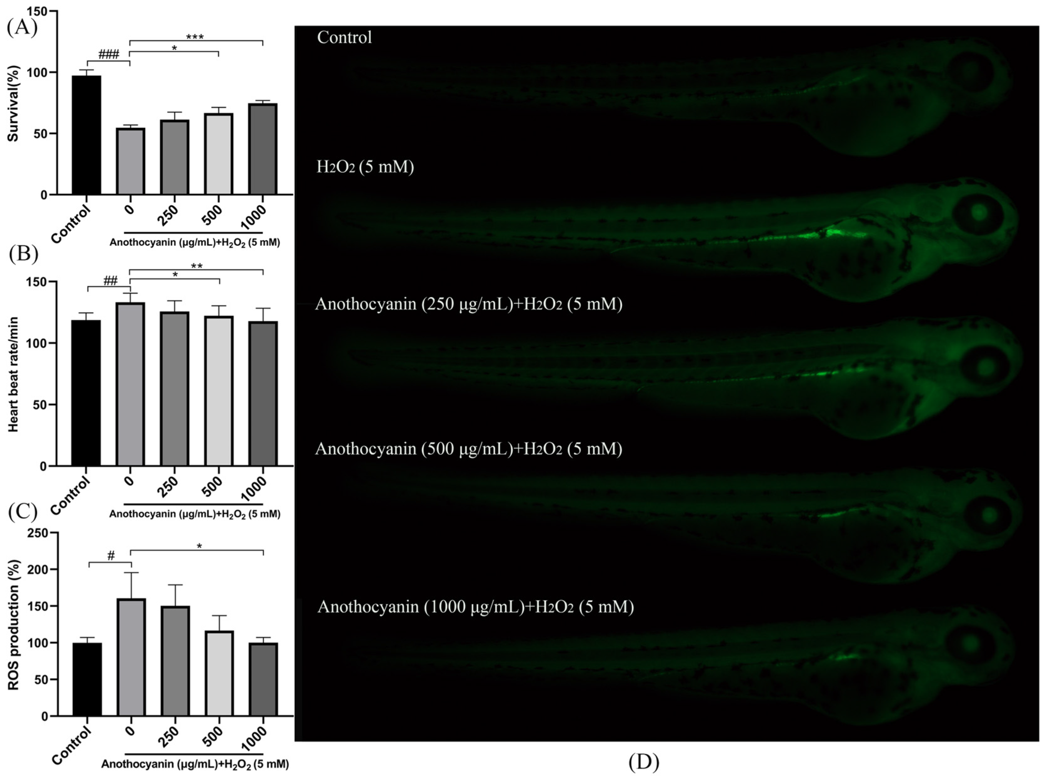 Ijms 26 04510 g003 Ijms 26 04510 g003