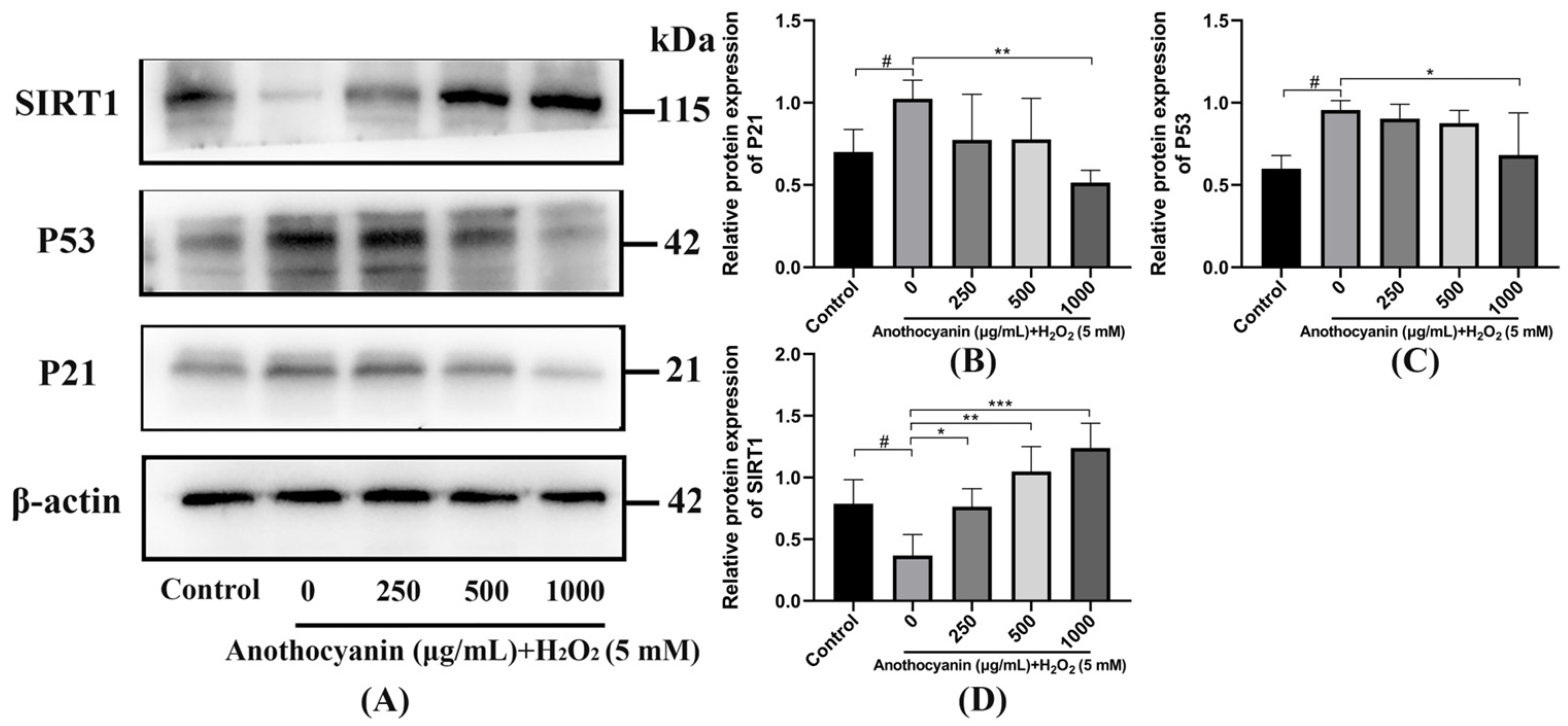 Ijms 26 04510 g006 Ijms 26 04510 g006