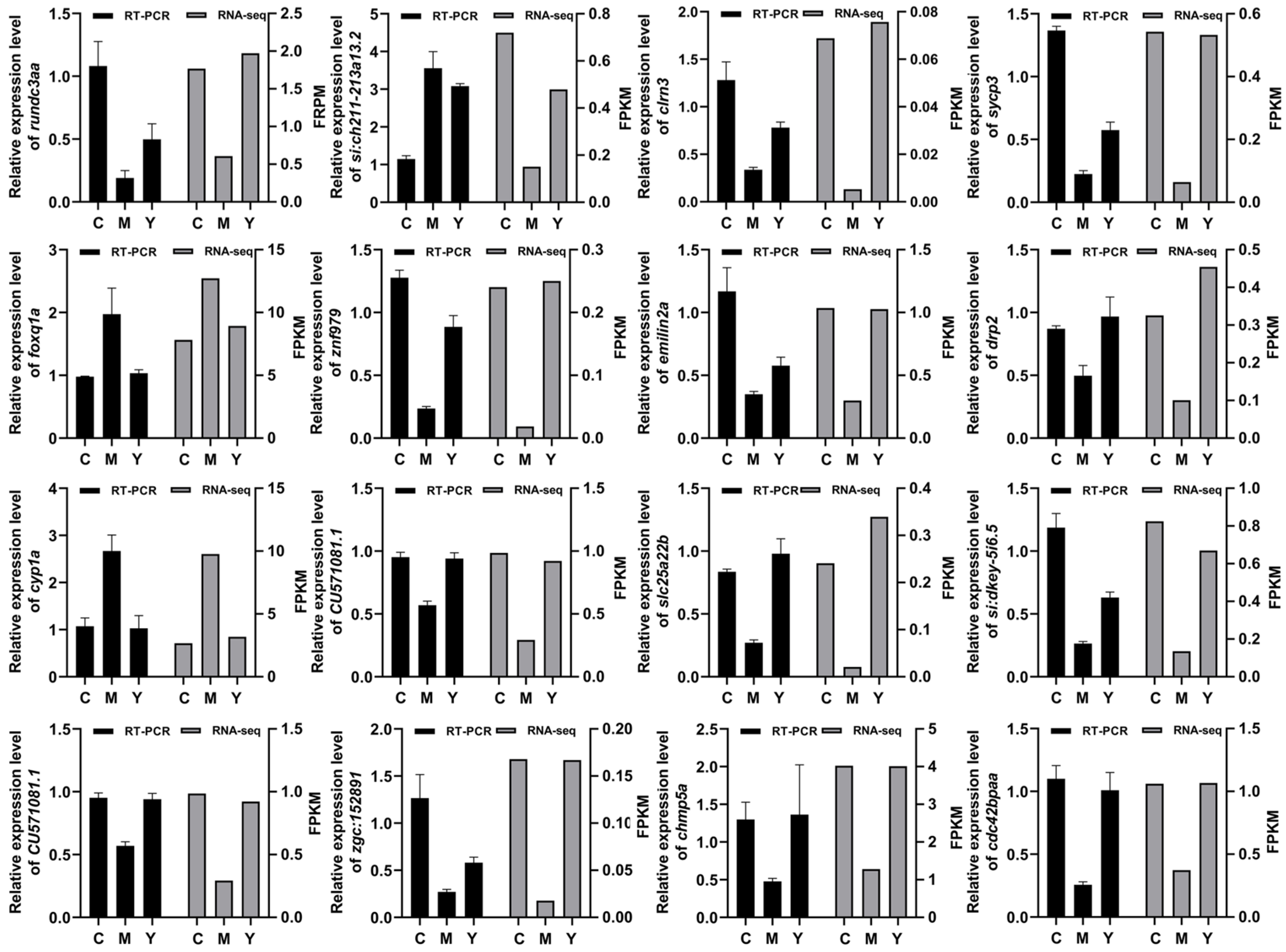 Ijms 26 04510 g008 Ijms 26 04510 g008