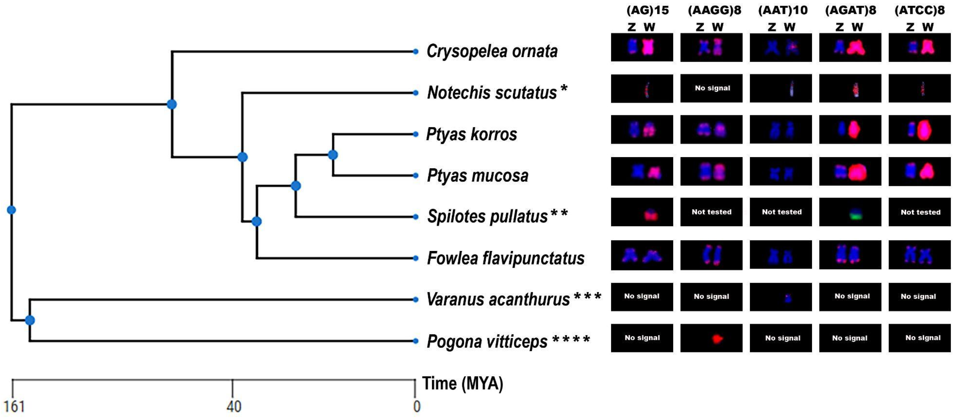 Ijms 26 04540 g004 Ijms 26 04540 g004