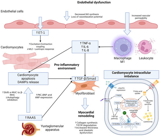 Molecular Mechanisms of Type 2 Diabetes-Related Heart Disease and Therapeutic Insights Molecular Mechanisms of Type 2 Diabetes-Related Heart Disease and Therapeutic Insights