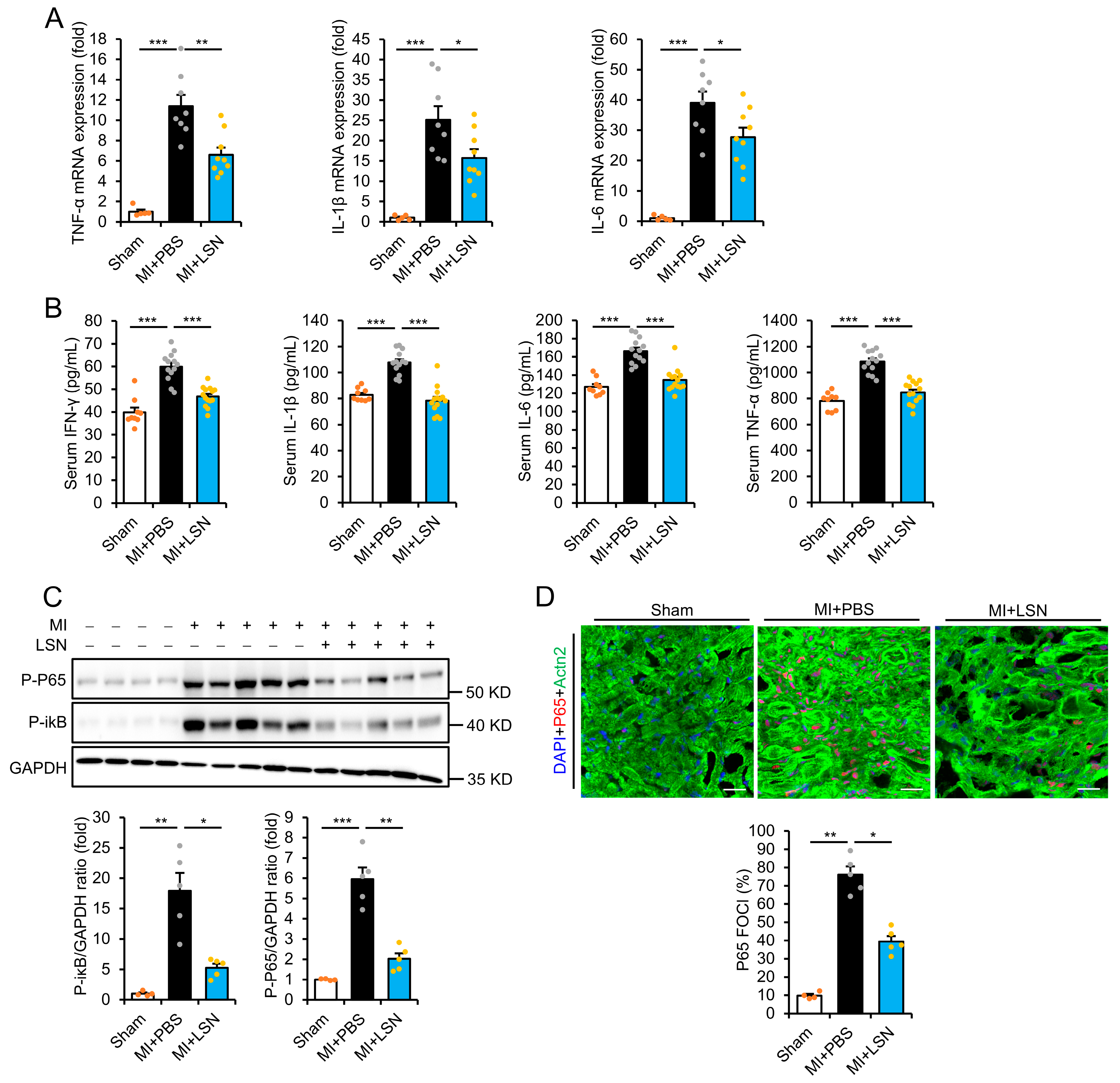 Ijms 26 04566 g002 Ijms 26 04566 g002