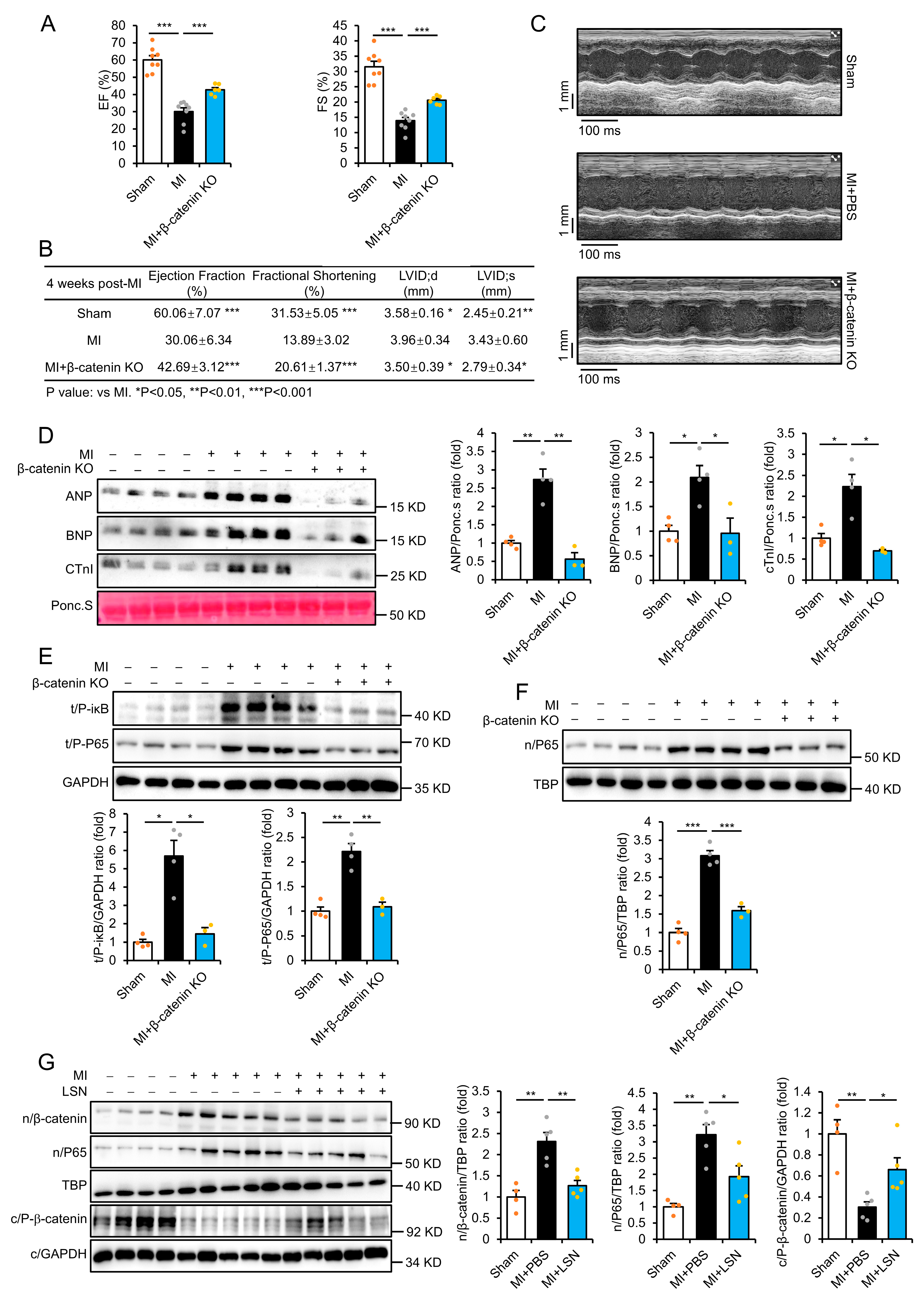 Ijms 26 04566 g003 Ijms 26 04566 g003