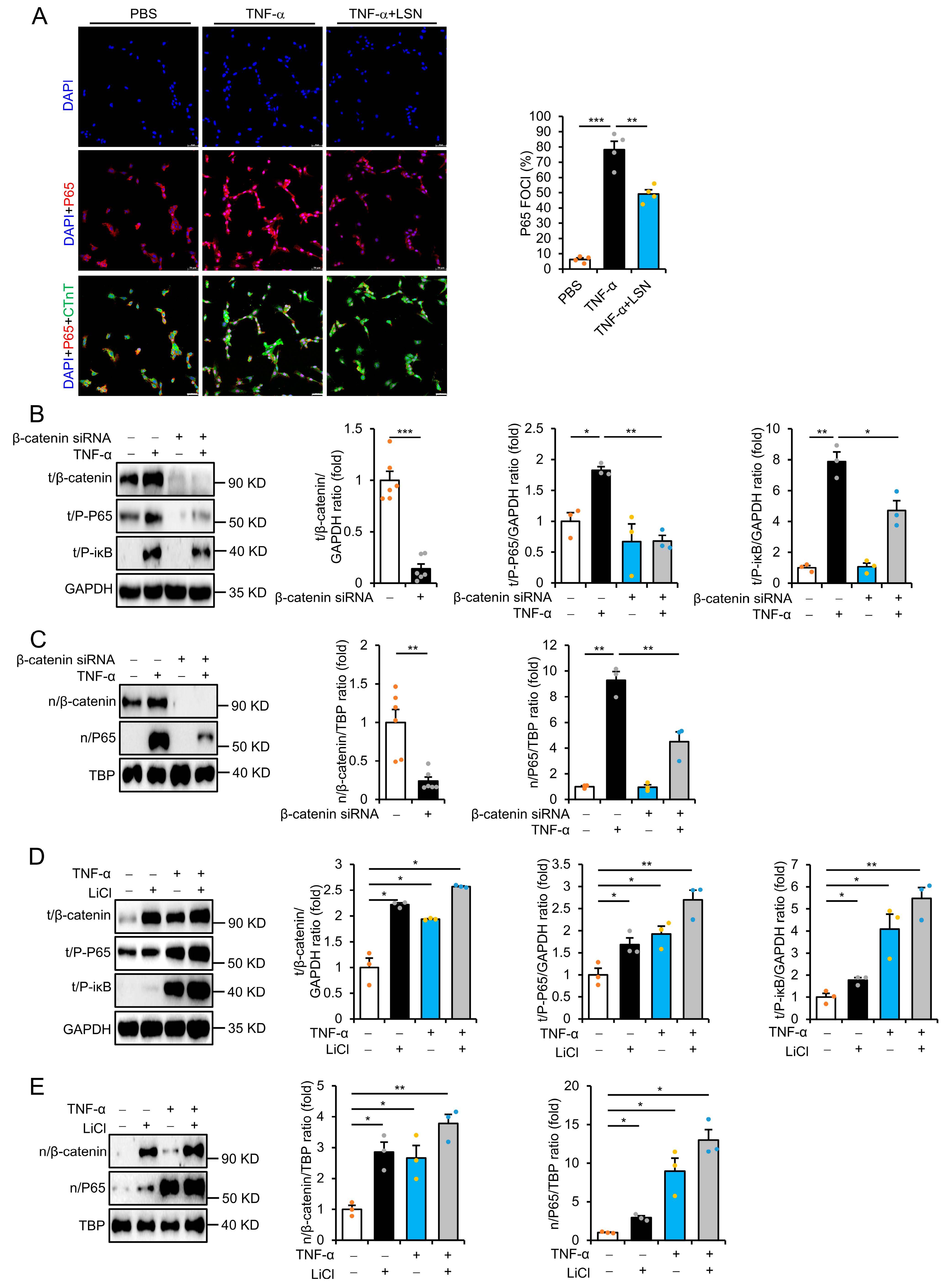 Ijms 26 04566 g004 Ijms 26 04566 g004