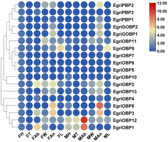 Molecular Characterization and Functional Analysis of