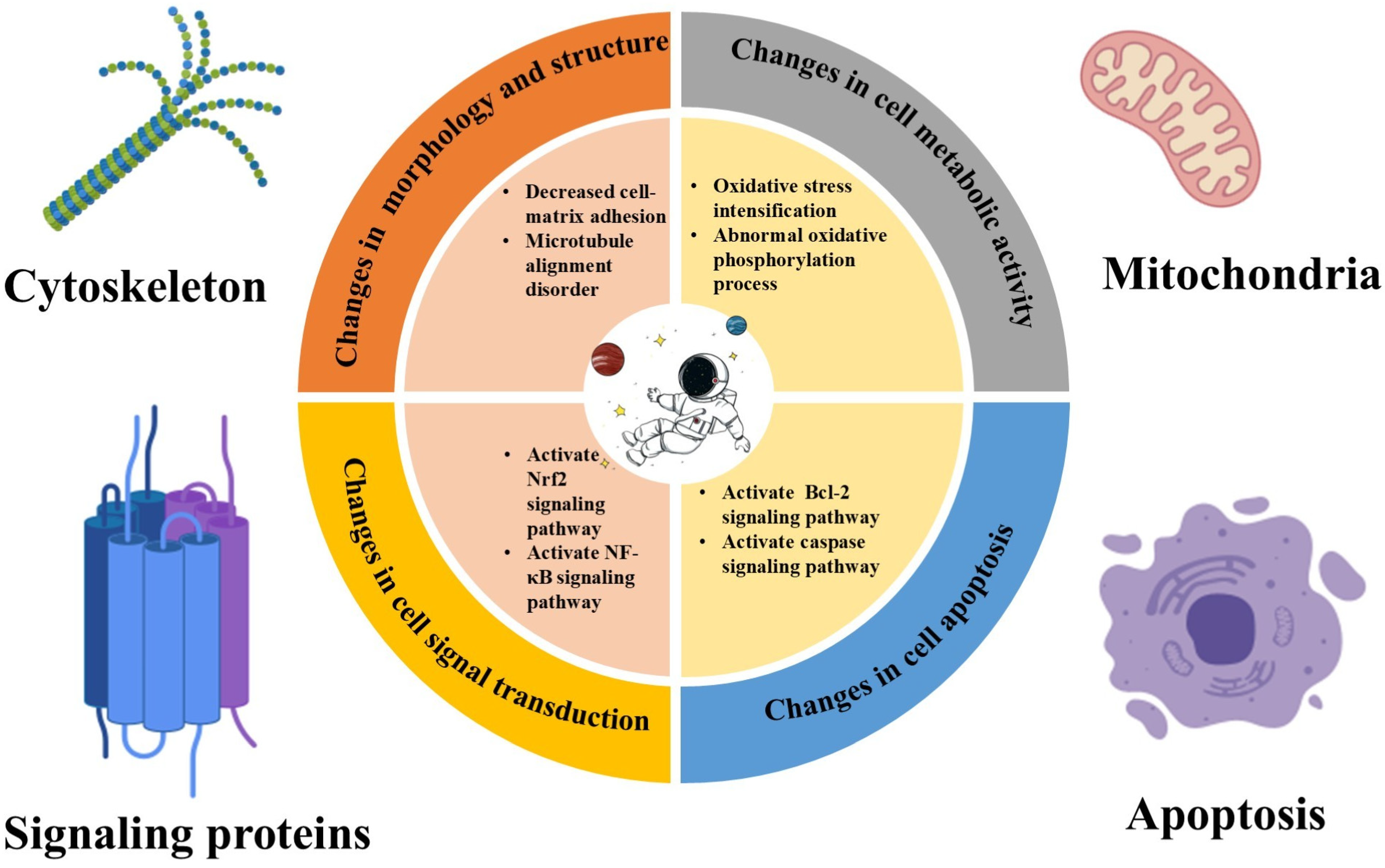 Ijms 26 04583 g002 Ijms 26 04583 g002
