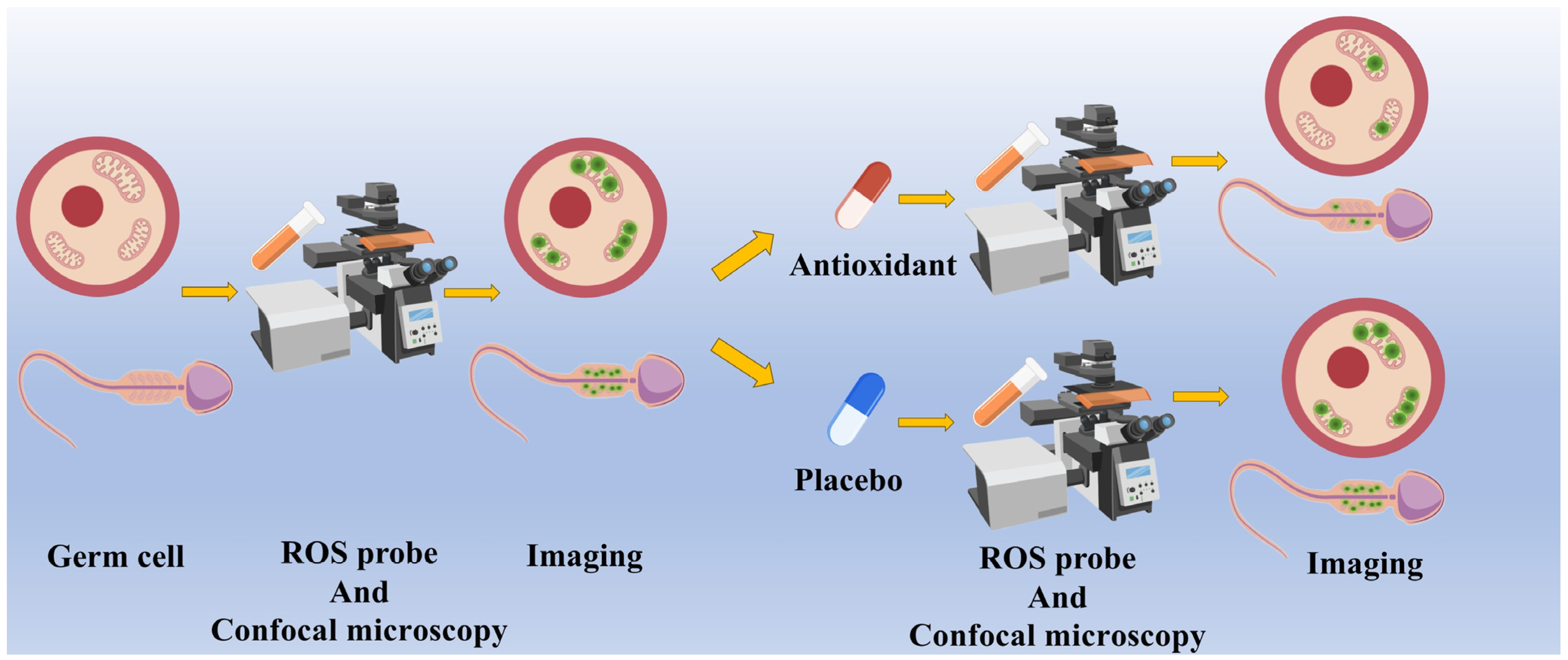 Ijms 26 04583 g004 Ijms 26 04583 g004