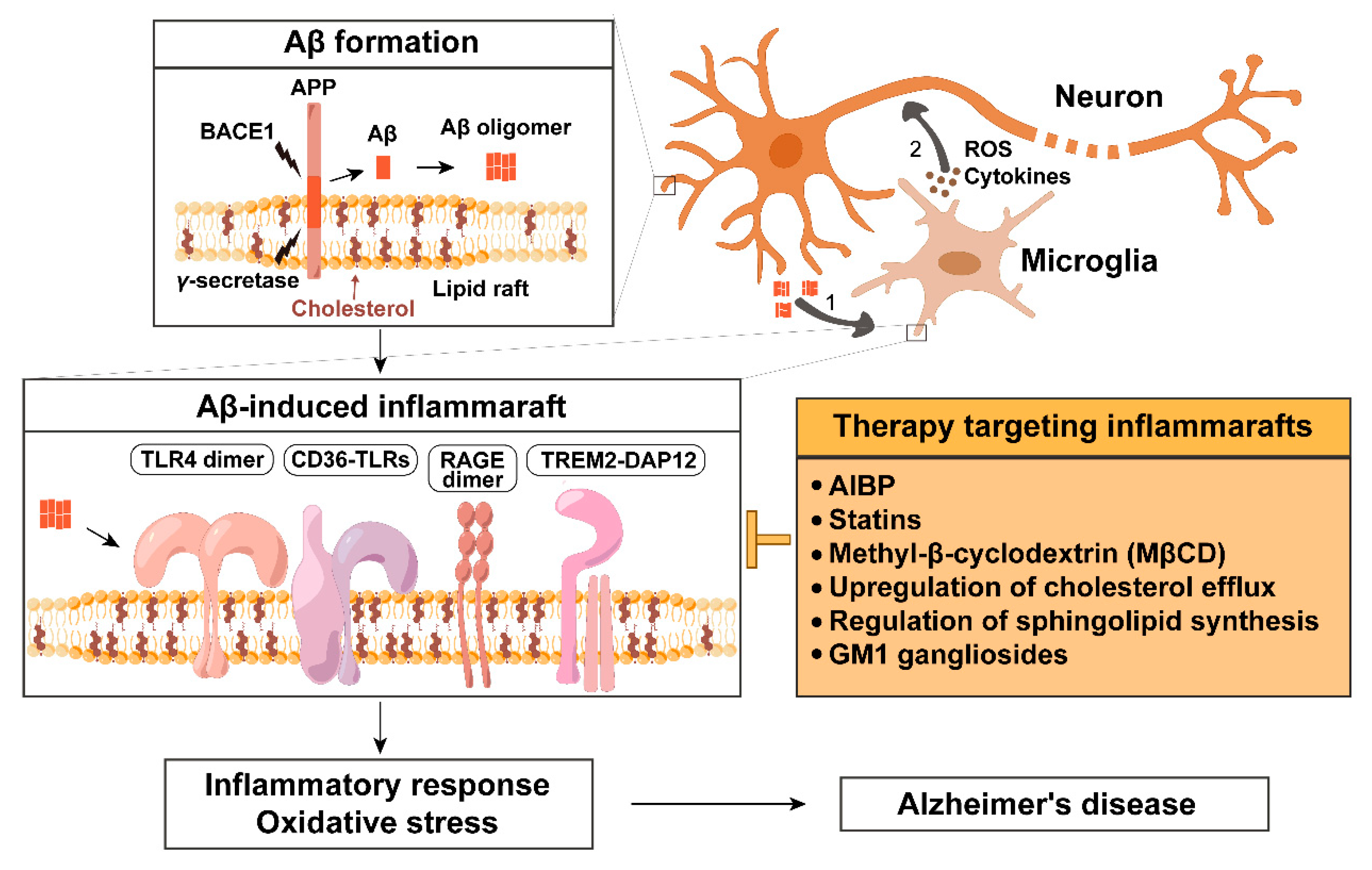 Ijms 26 04592 g001 Ijms 26 04592 g001