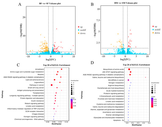 え An optical-scan method for measuring the as installed