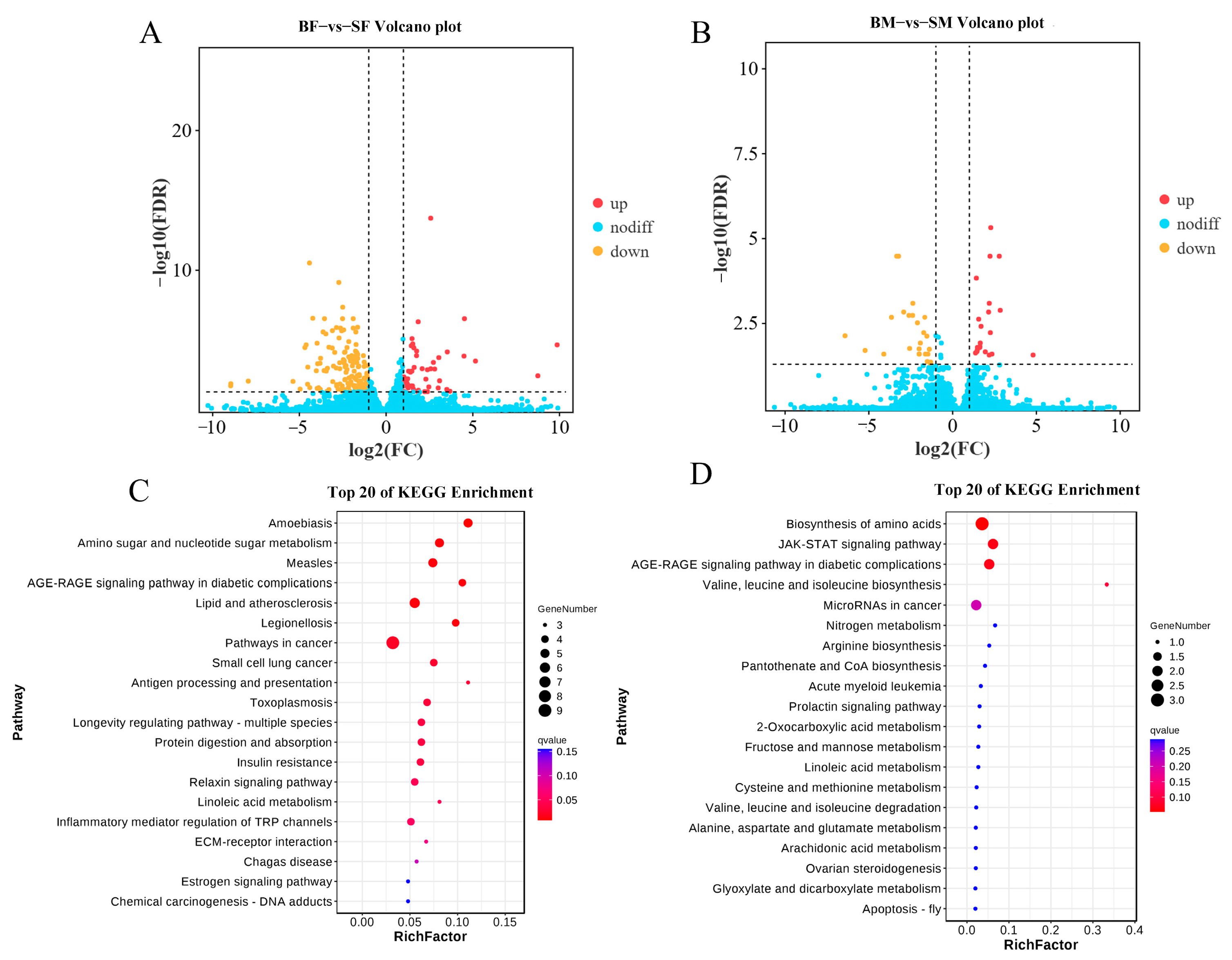 Integrated Application of Transcriptomics and Metabolomics