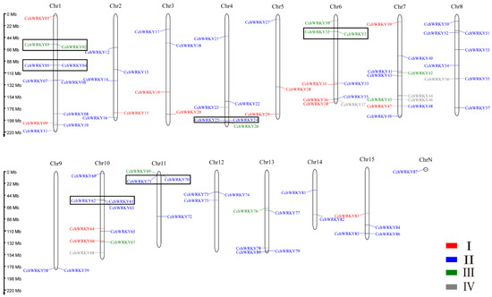 Feild WSBK: Superpole Race Results From Misano - Roadracing World