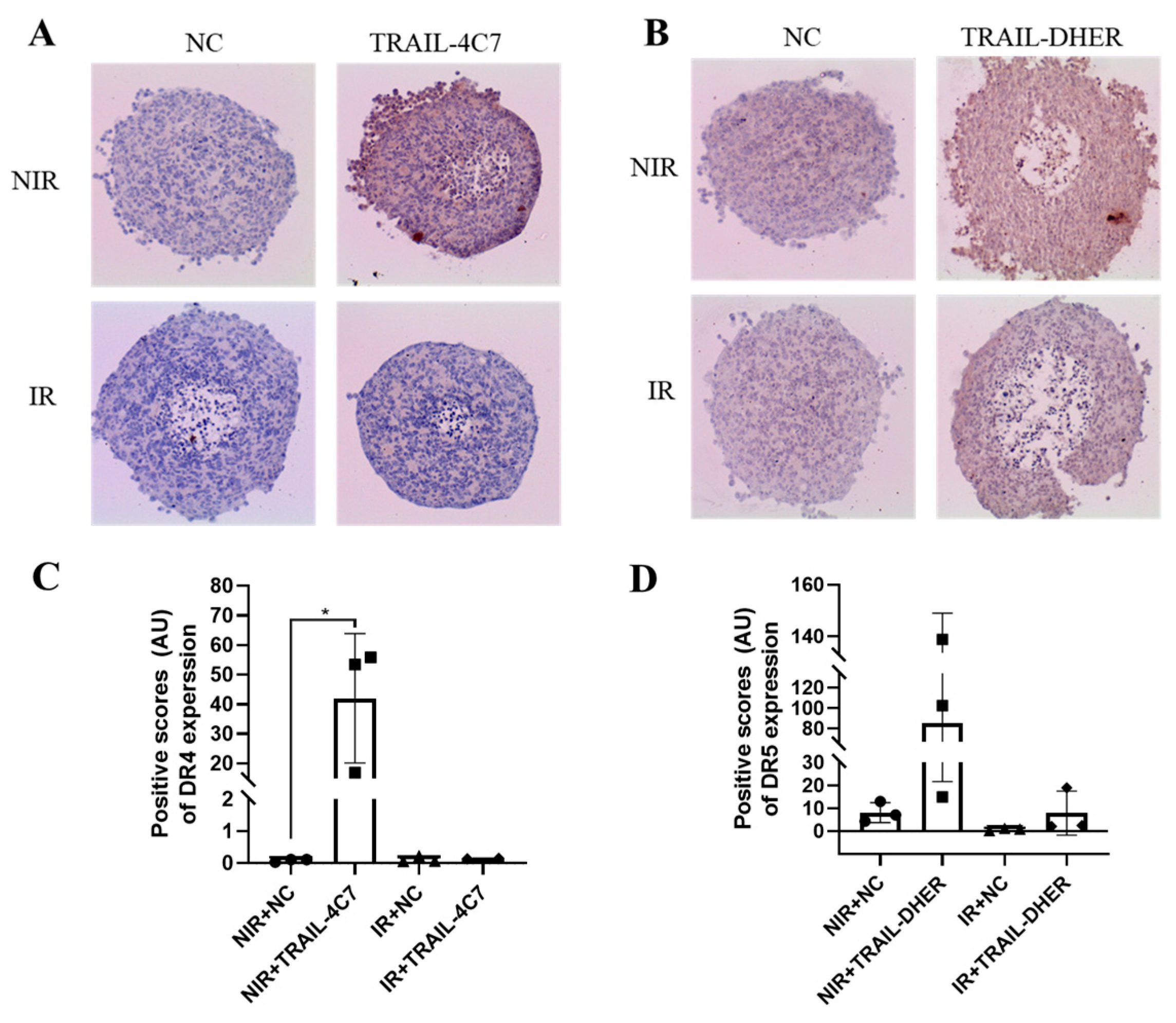 Ijms 26 04635 g005 Ijms 26 04635 g005