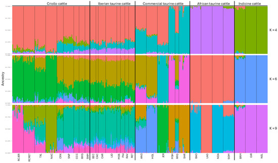 K Frontiers | Beyond allergic progression: From molecules to