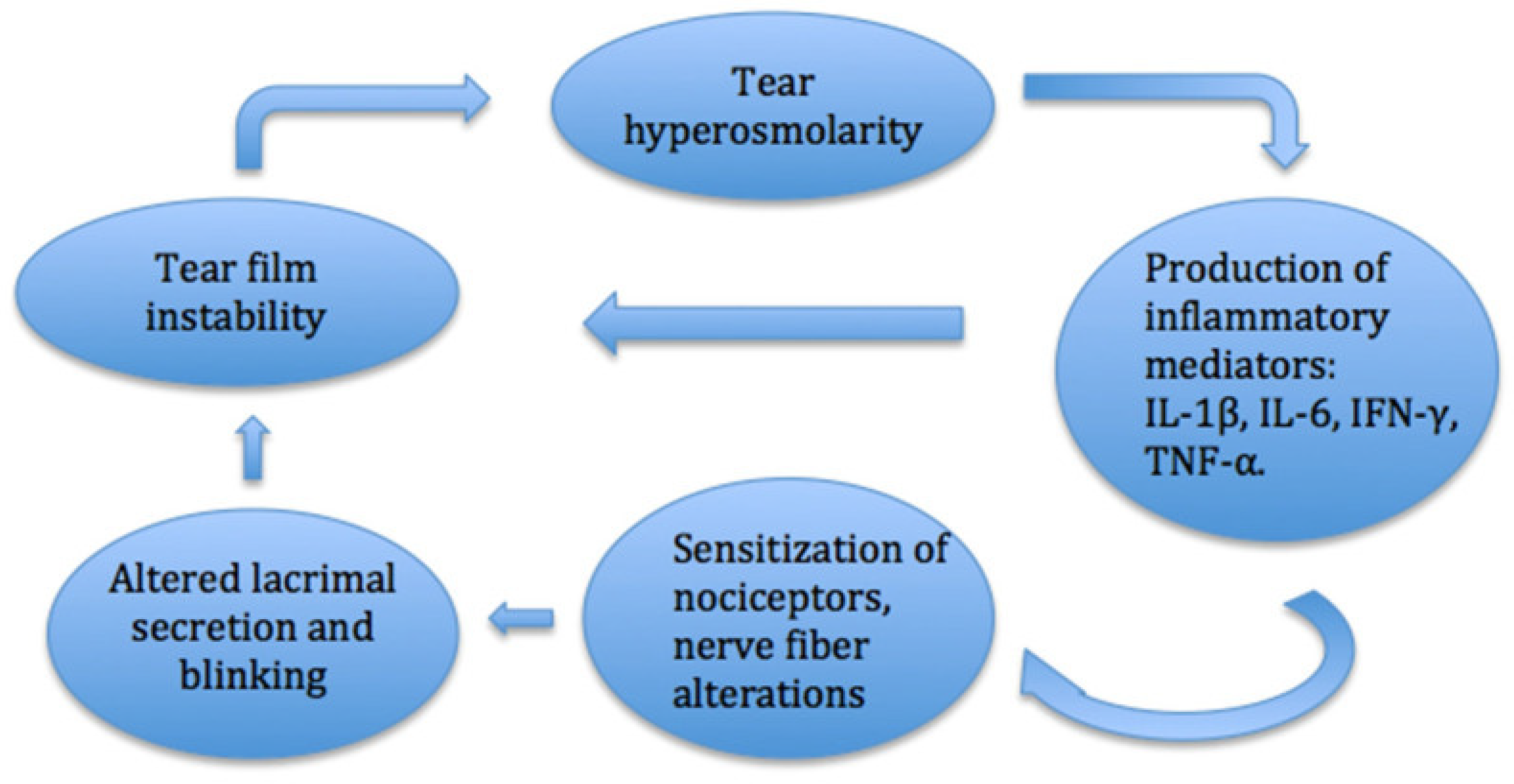 Ijms 26 04663 g004 Ijms 26 04663 g004