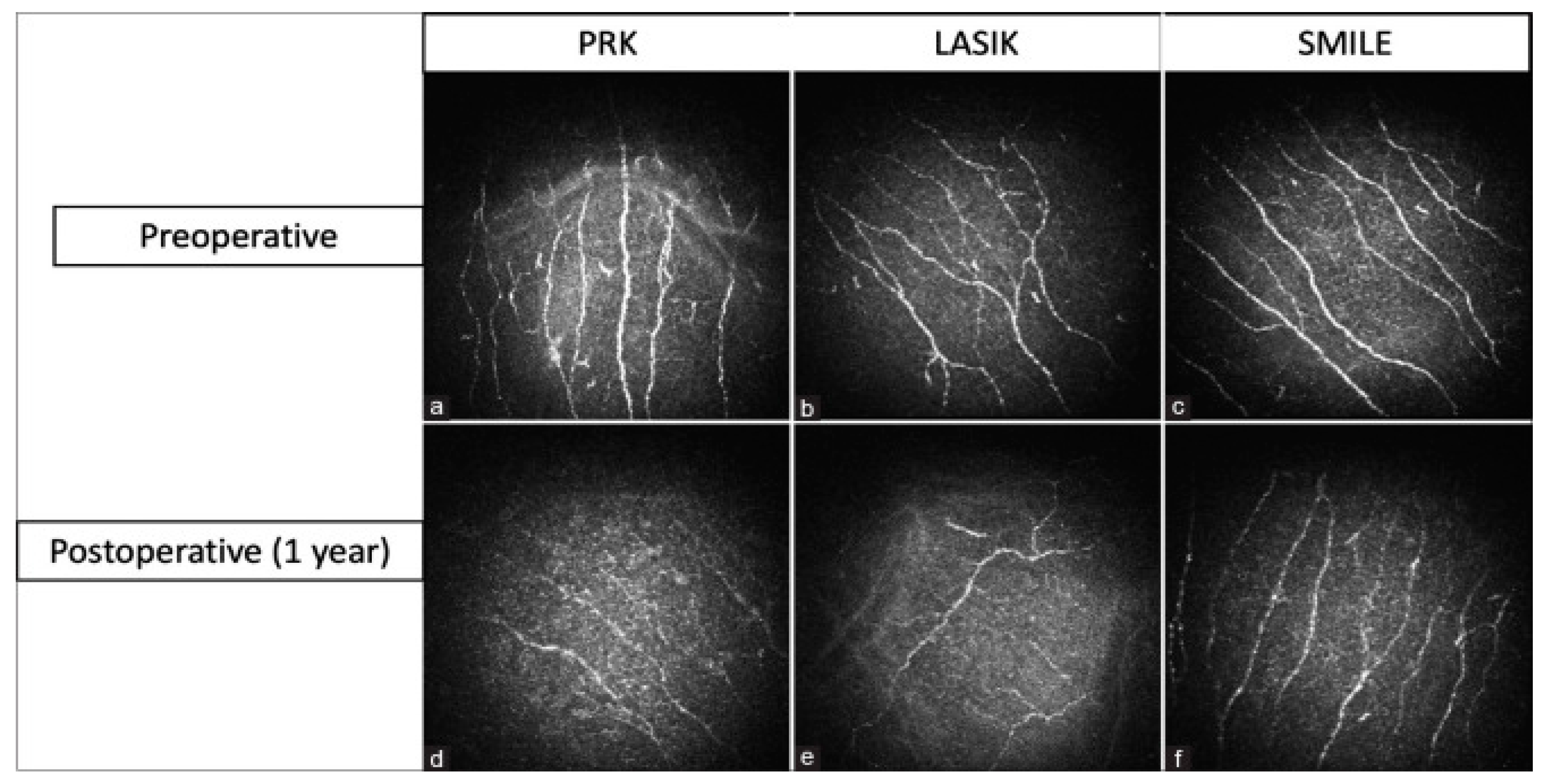 Ijms 26 04663 g005 Ijms 26 04663 g005