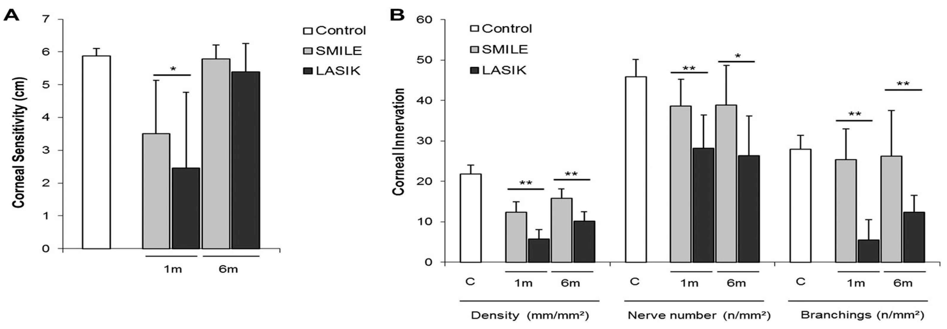 Ijms 26 04663 g006 Ijms 26 04663 g006