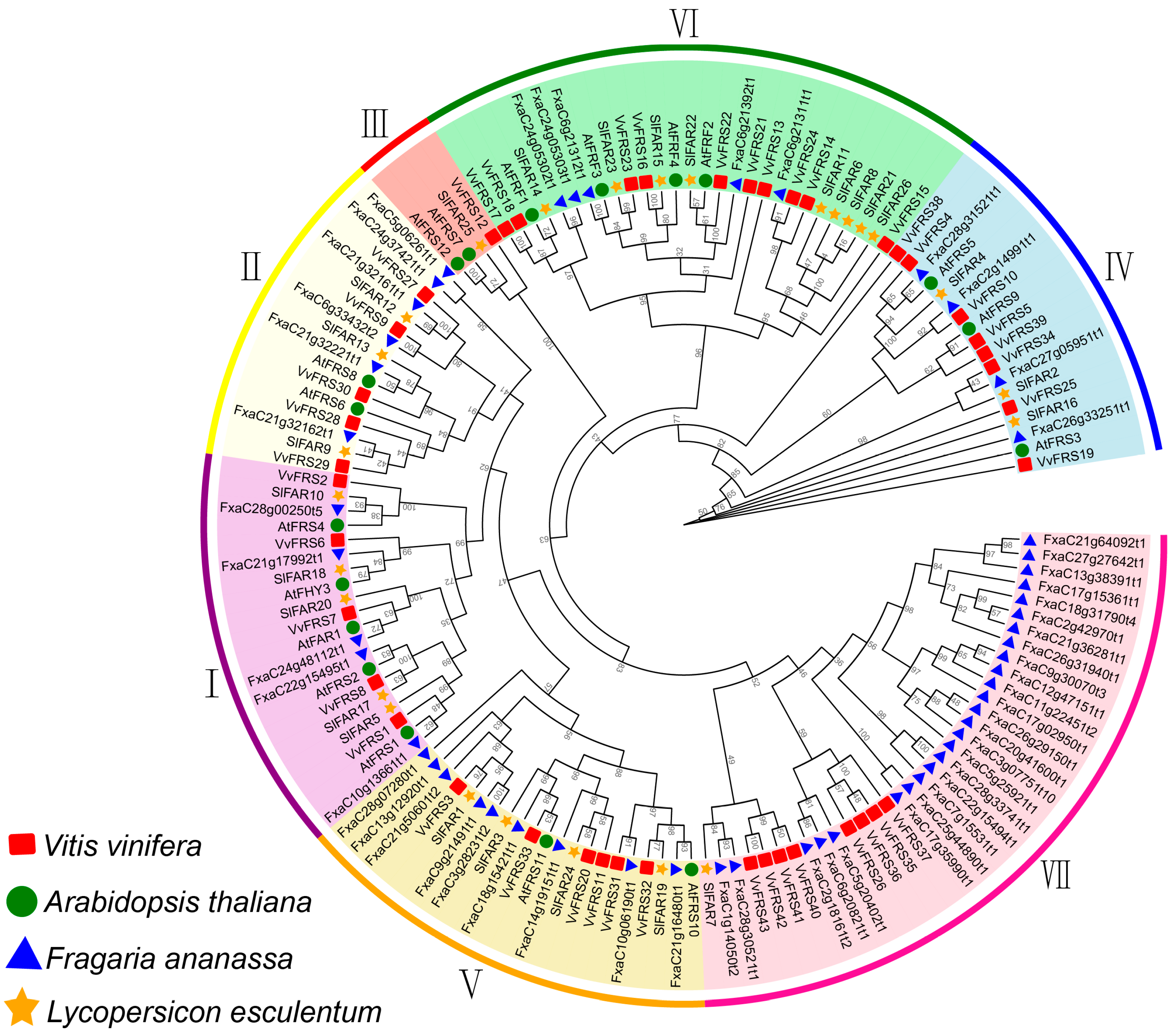 Ijms 26 04675 g001 Ijms 26 04675 g001
