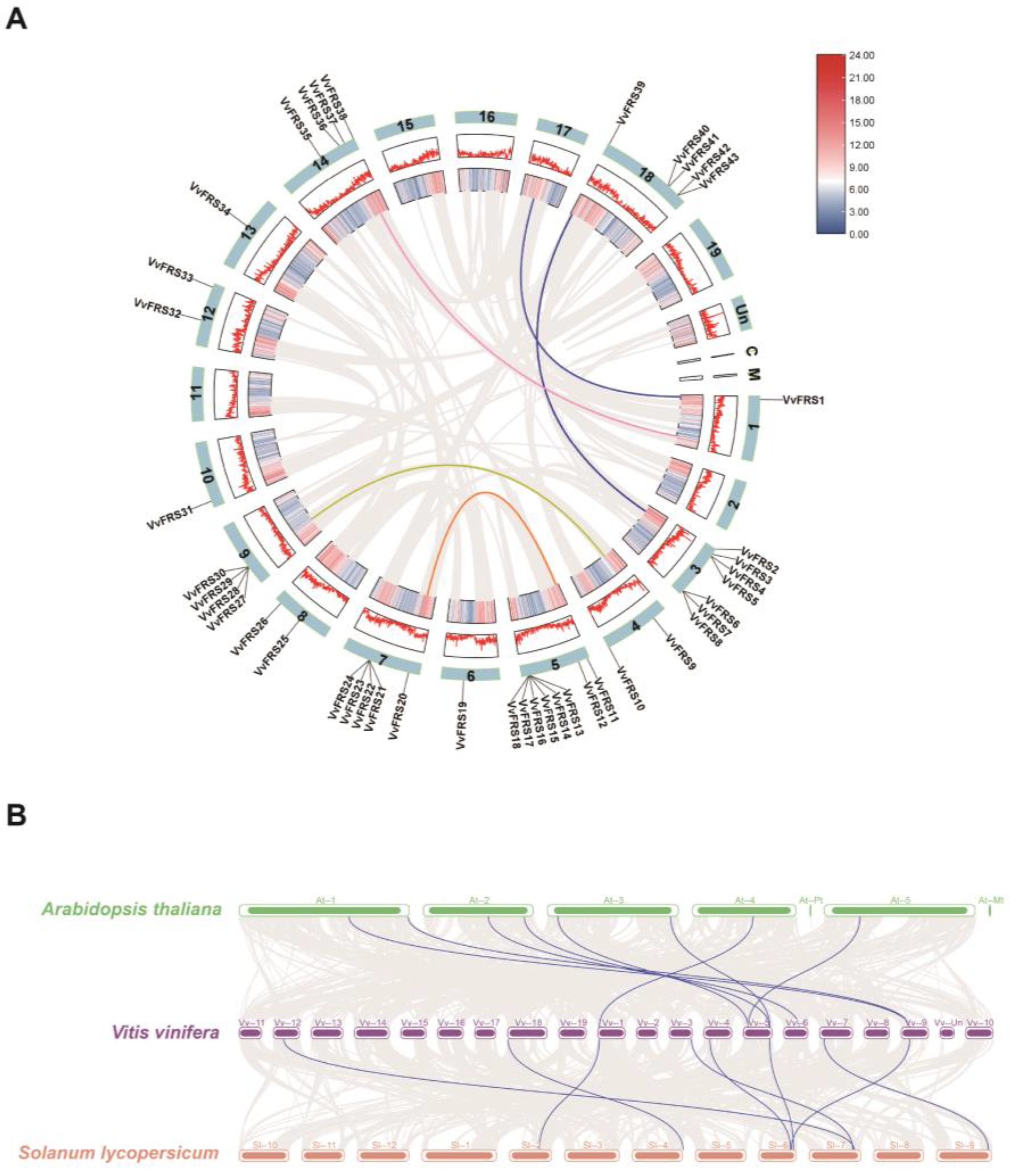 Ijms 26 04675 g002 Ijms 26 04675 g002