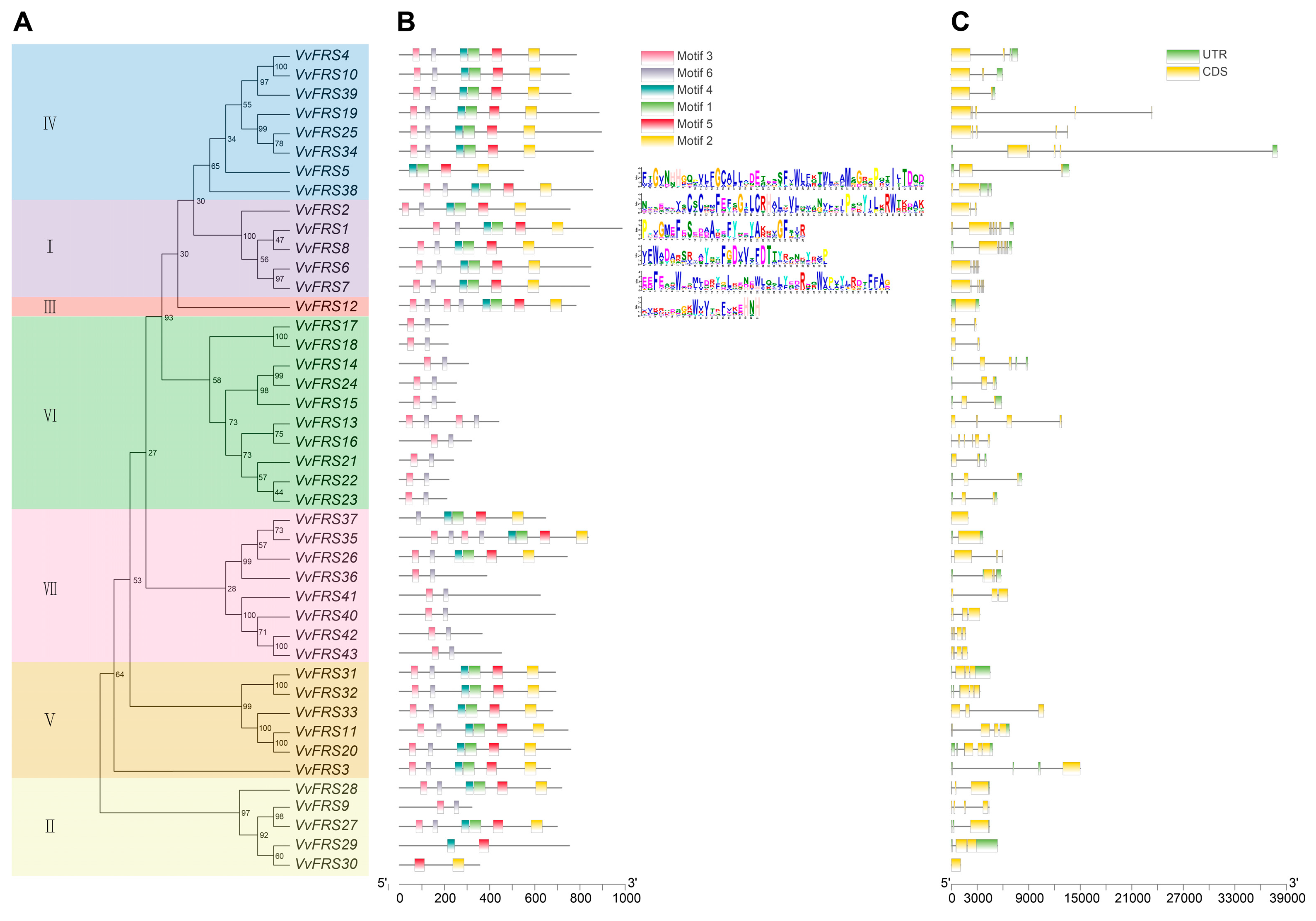 Ijms 26 04675 g003 Ijms 26 04675 g003