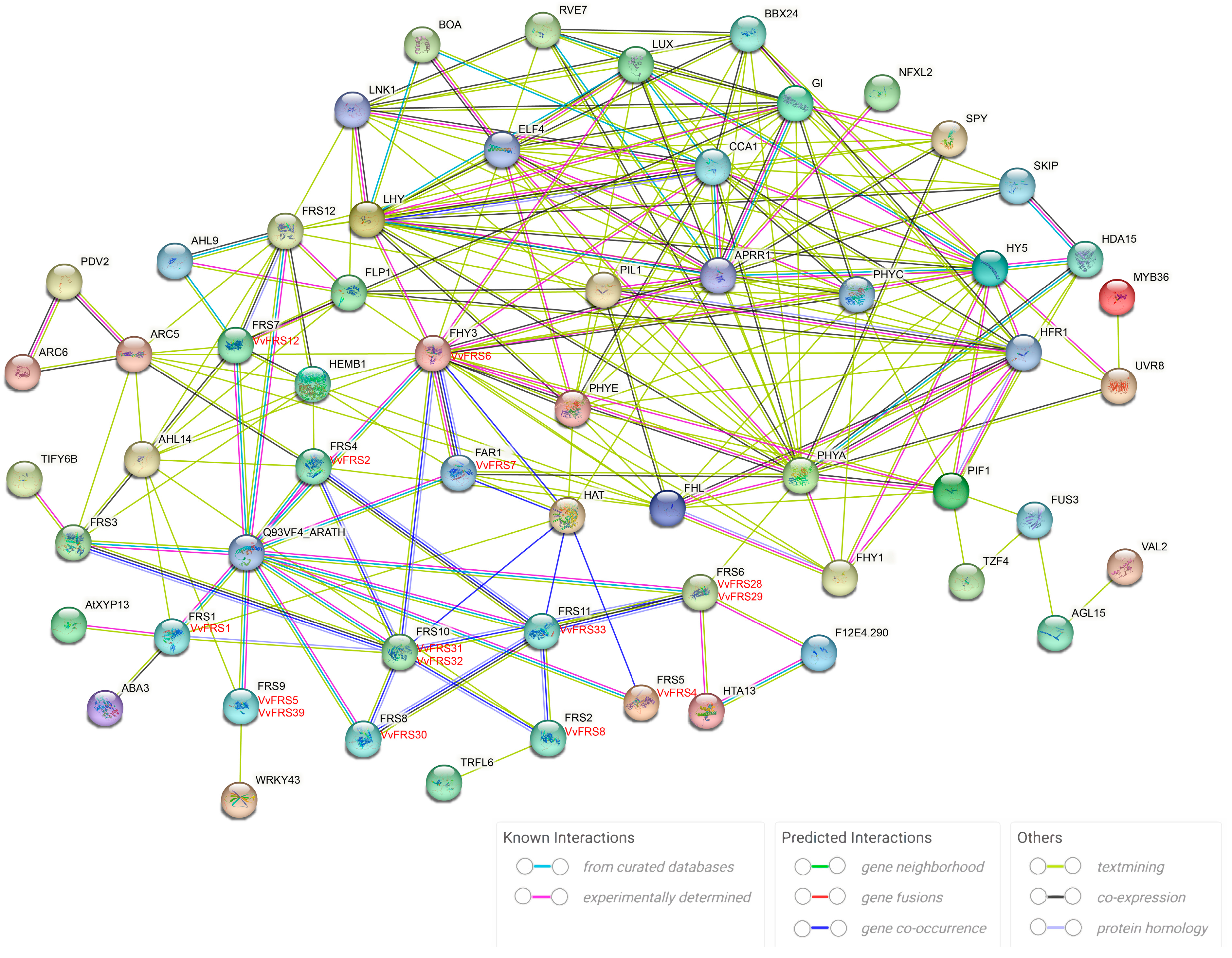 Ijms 26 04675 g005 Ijms 26 04675 g005