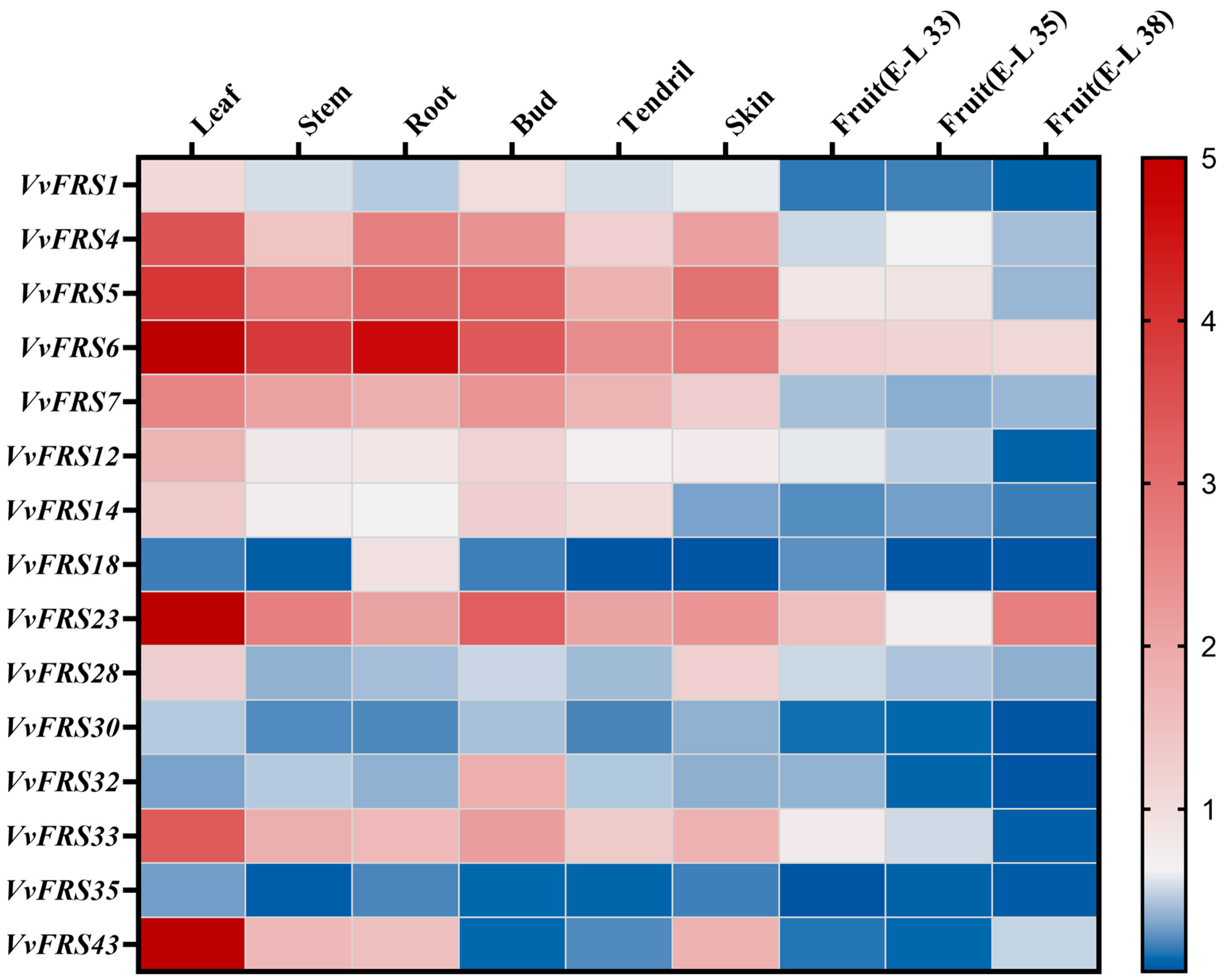 Ijms 26 04675 g006 Ijms 26 04675 g006