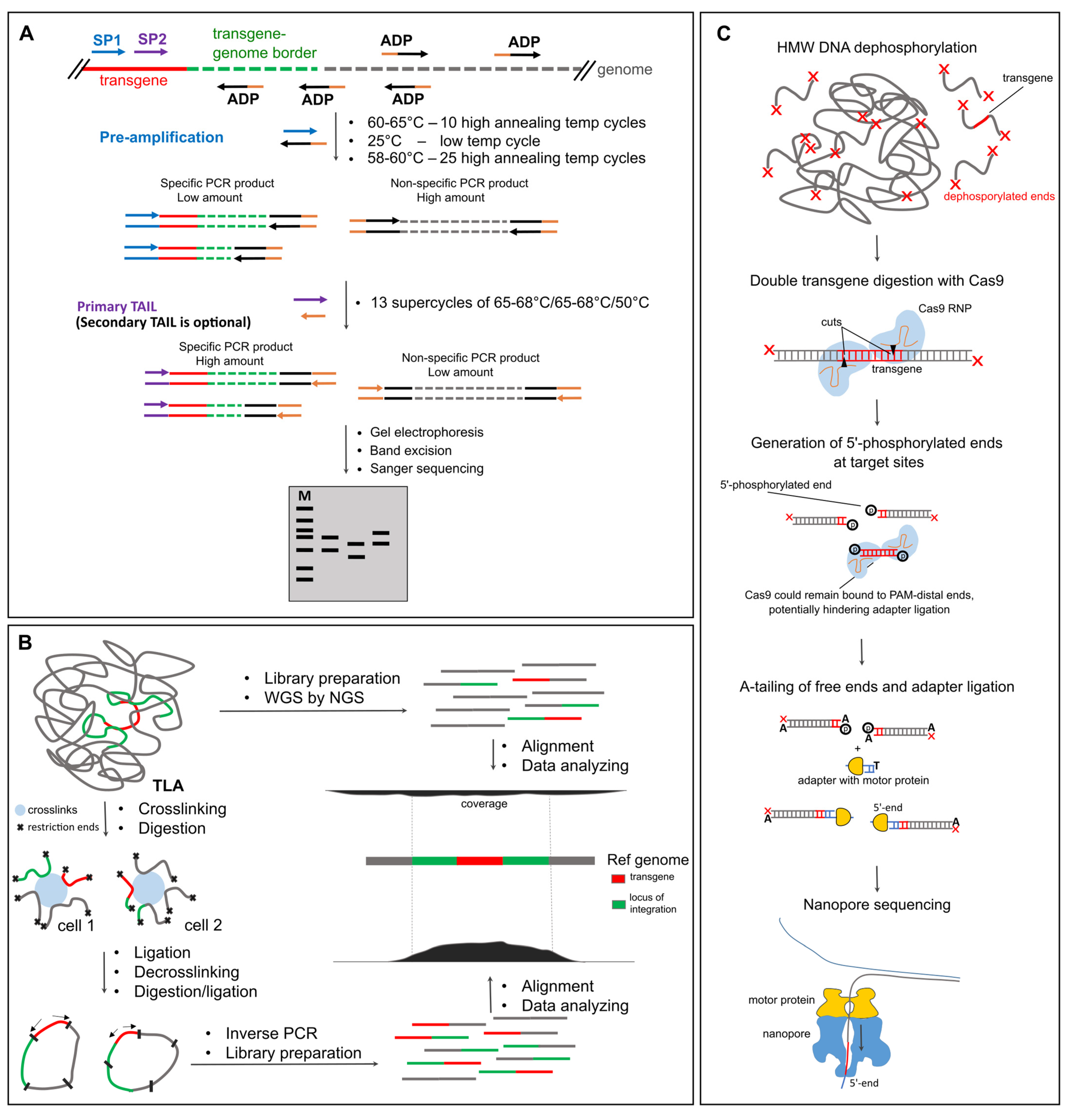 Ijms 26 04705 g002 Ijms 26 04705 g002