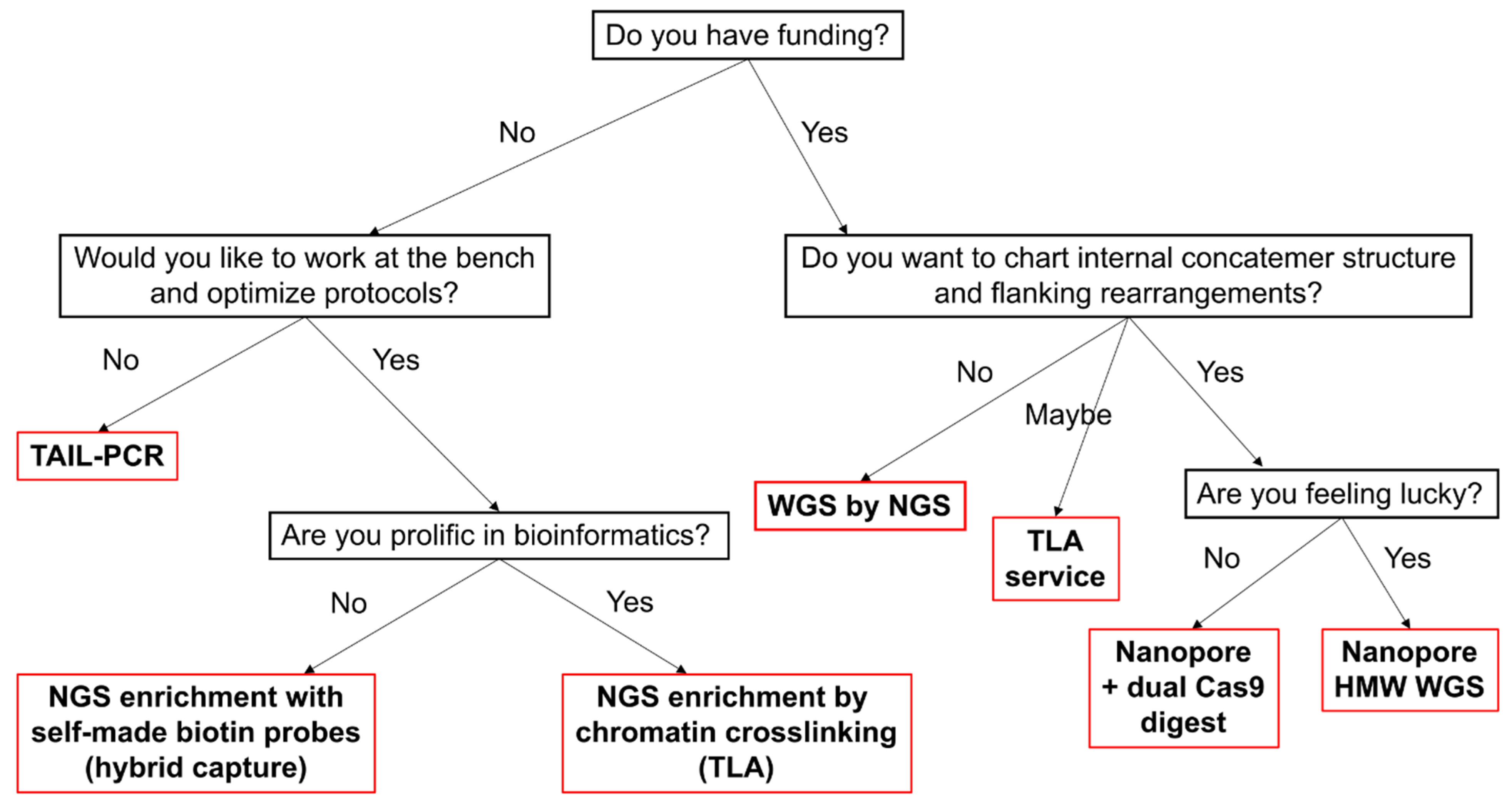 Ijms 26 04705 g003 Ijms 26 04705 g003