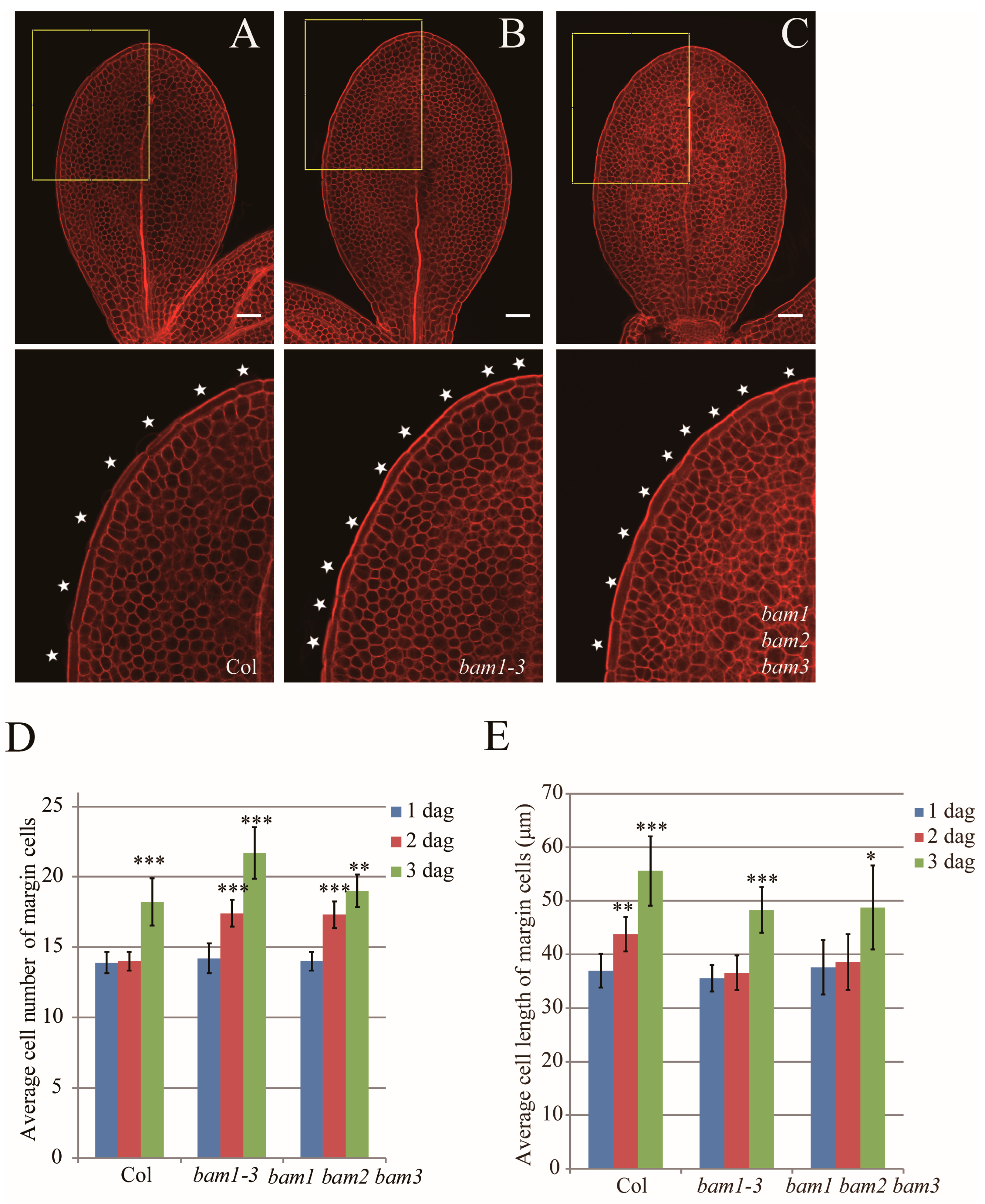 Ijms 26 04724 g002 Ijms 26 04724 g002
