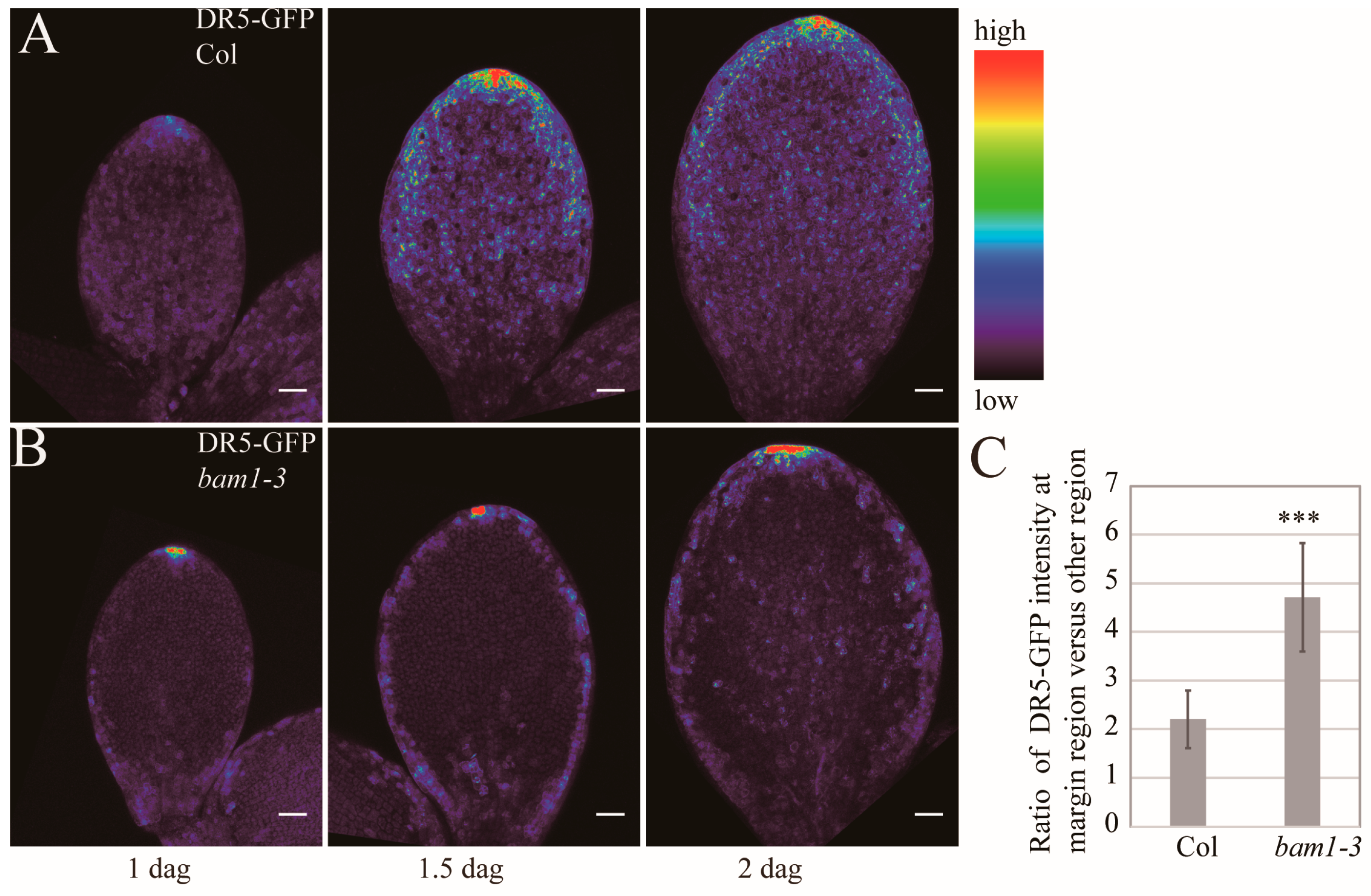Ijms 26 04724 g003 Ijms 26 04724 g003