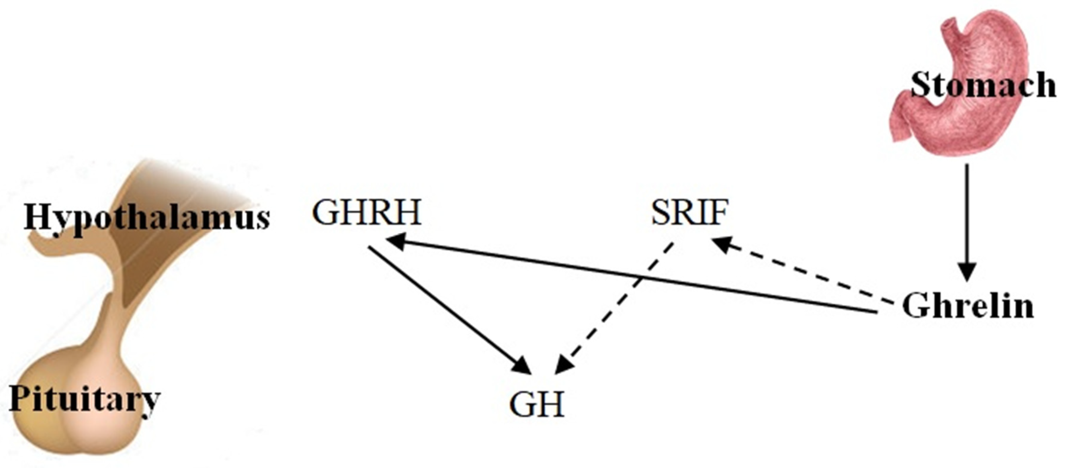 Ijms 26 04753 g002 Ijms 26 04753 g002