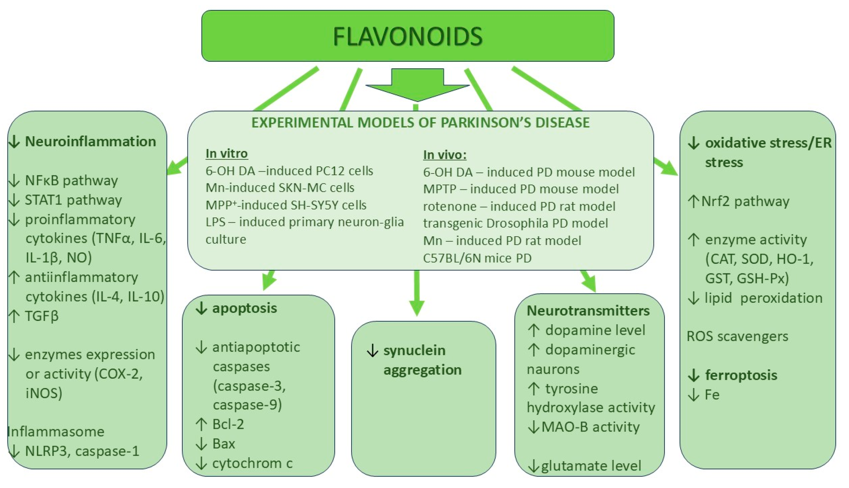 Unlocking the Pharmacological Potential of Myricetin Against