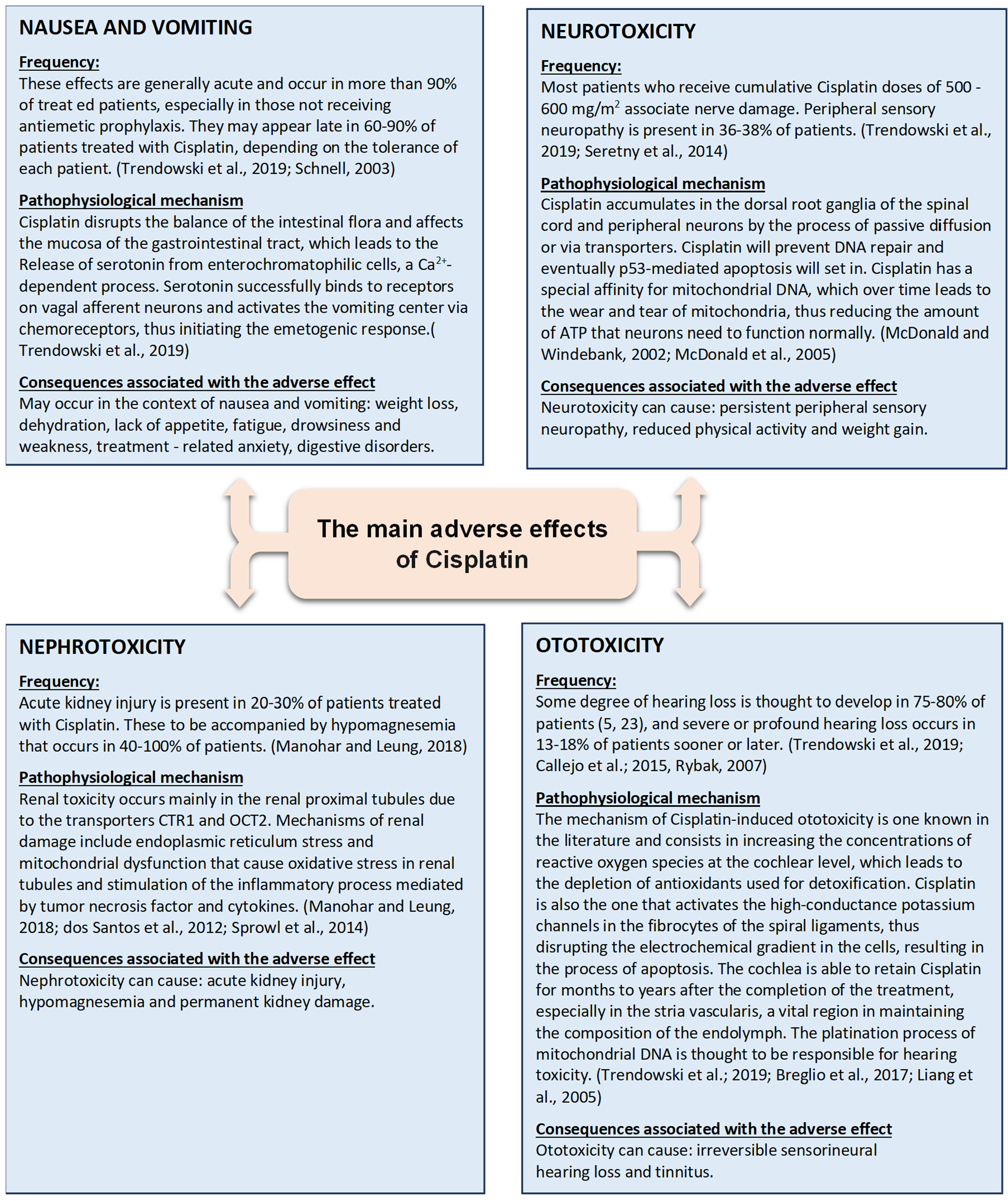 Ijms 26 04787 g001 Ijms 26 04787 g001