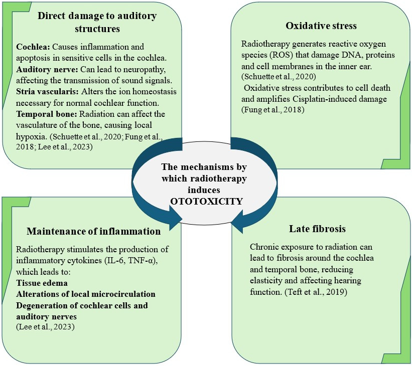 Ijms 26 04787 g003 Ijms 26 04787 g003