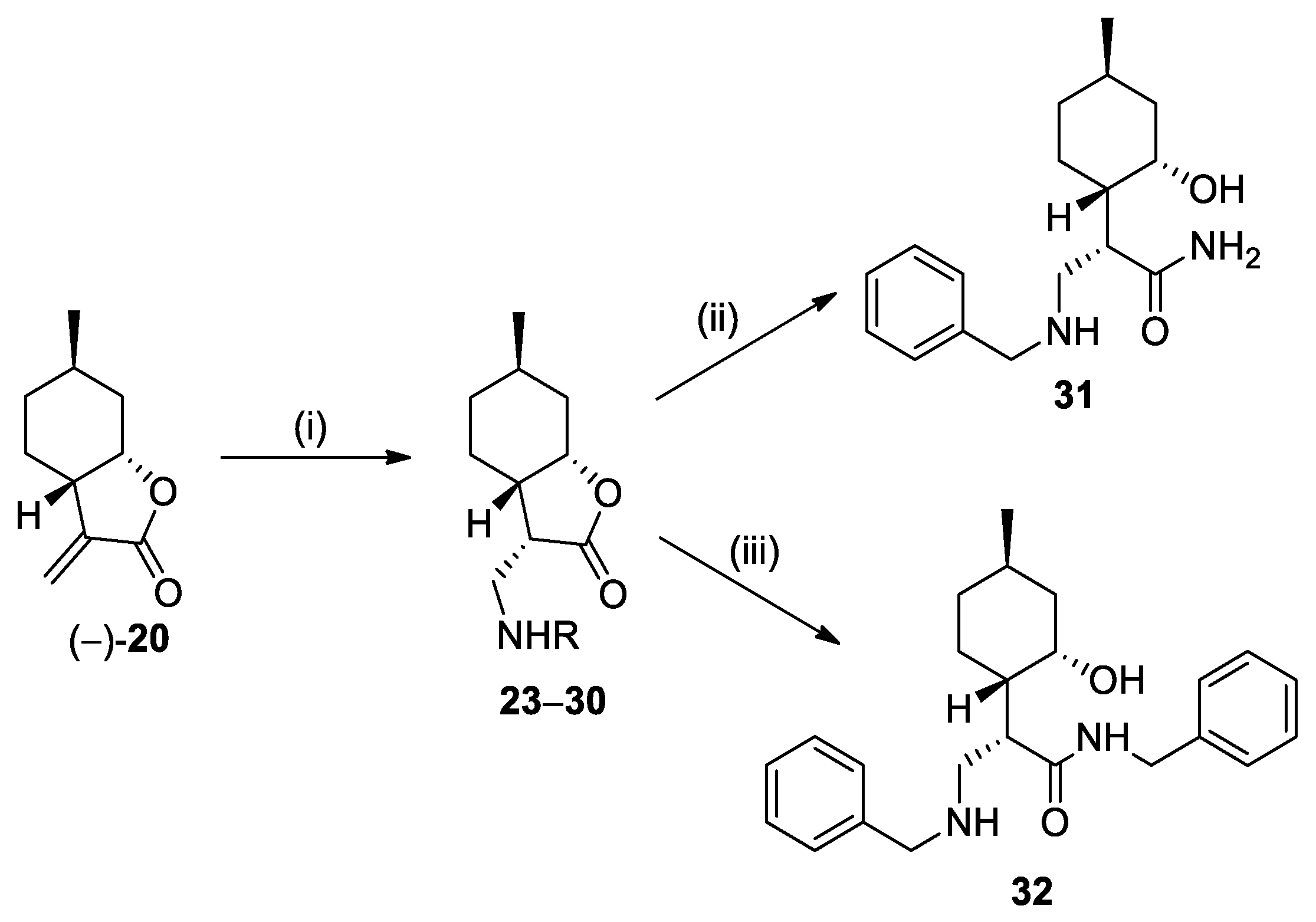 Ijms 26 04791 sch002