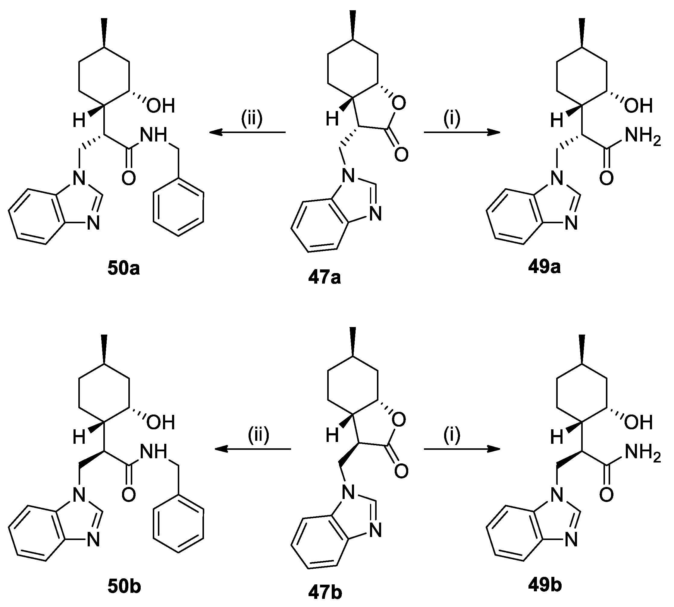 Ijms 26 04791 sch005