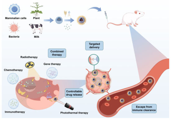is it okay to take glutathione while taking antibiotics What Avoid When Extracellular Vesicle-Based Drug Delivery Systems