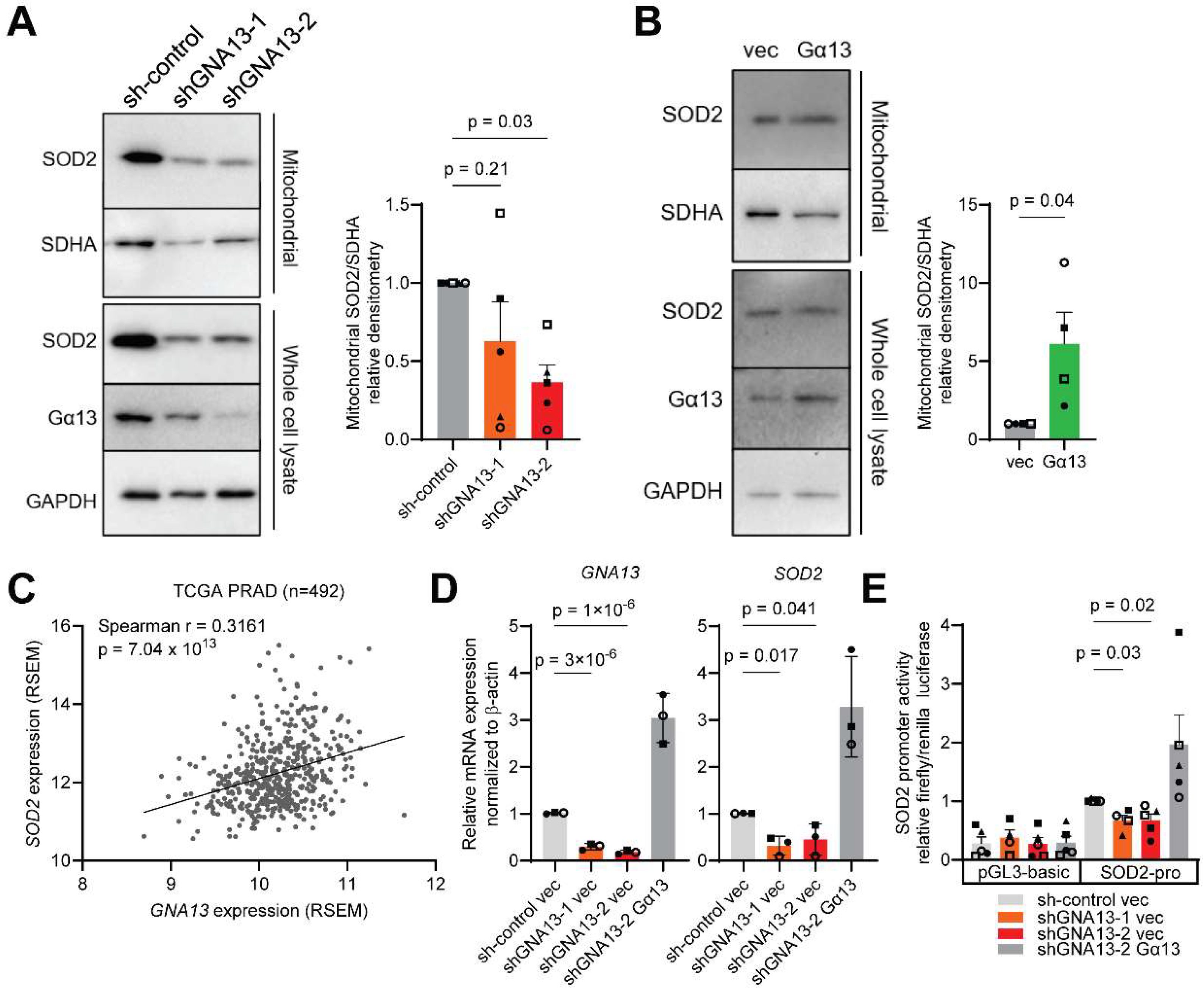 Ijms 26 04883 g002 Ijms 26 04883 g002
